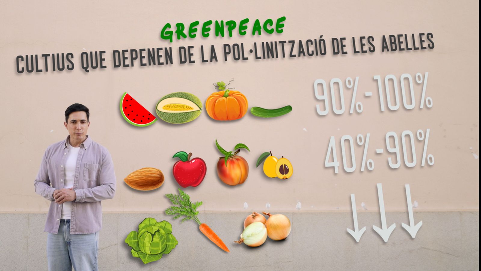 Greenpeace ha elaborat una llista dels aliments que podrien desaparéixer sense les abelles