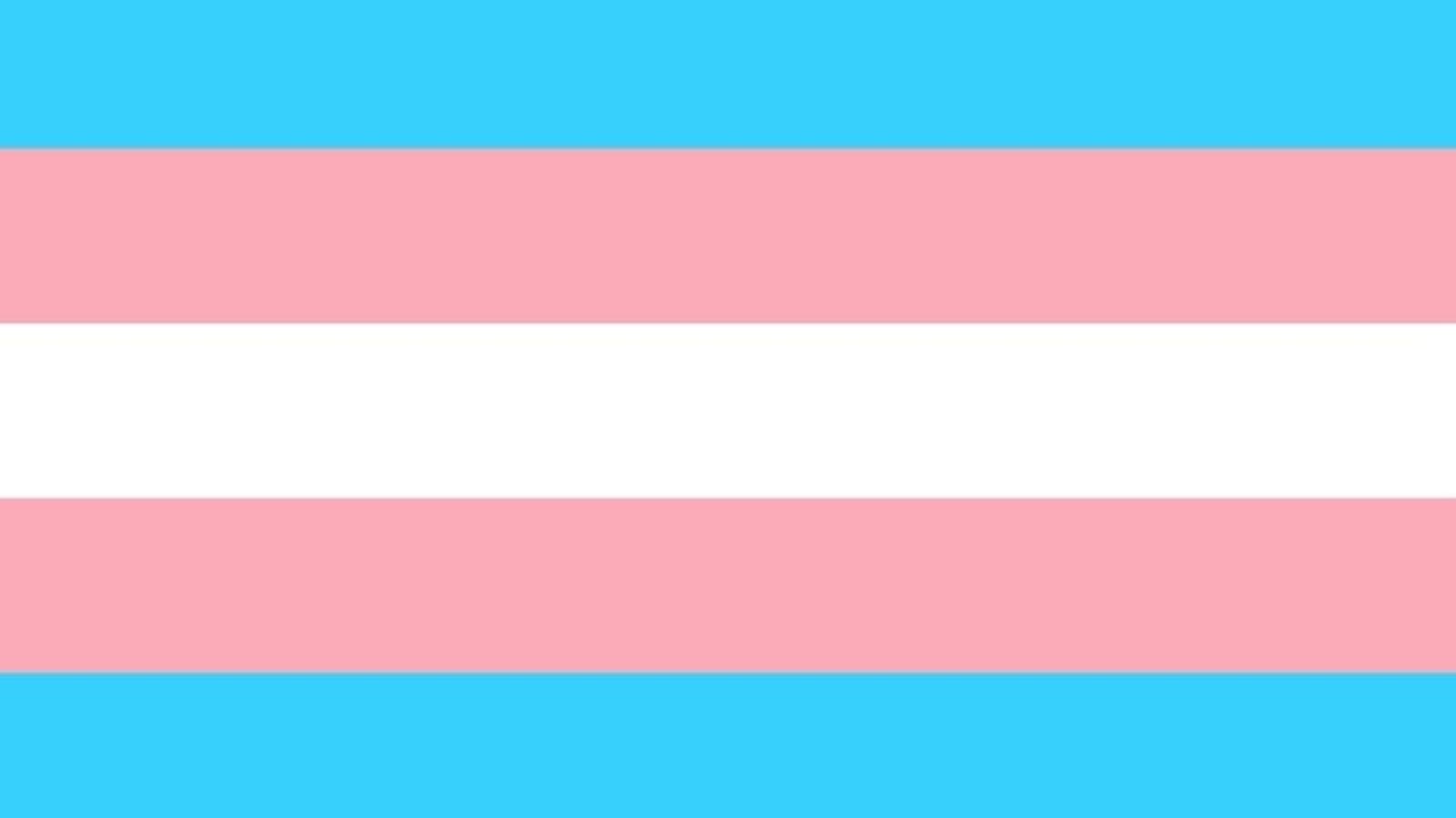 05.03.2019 | Xarxes | WhatsApp podria incloure la bandera trans en els seus emojis