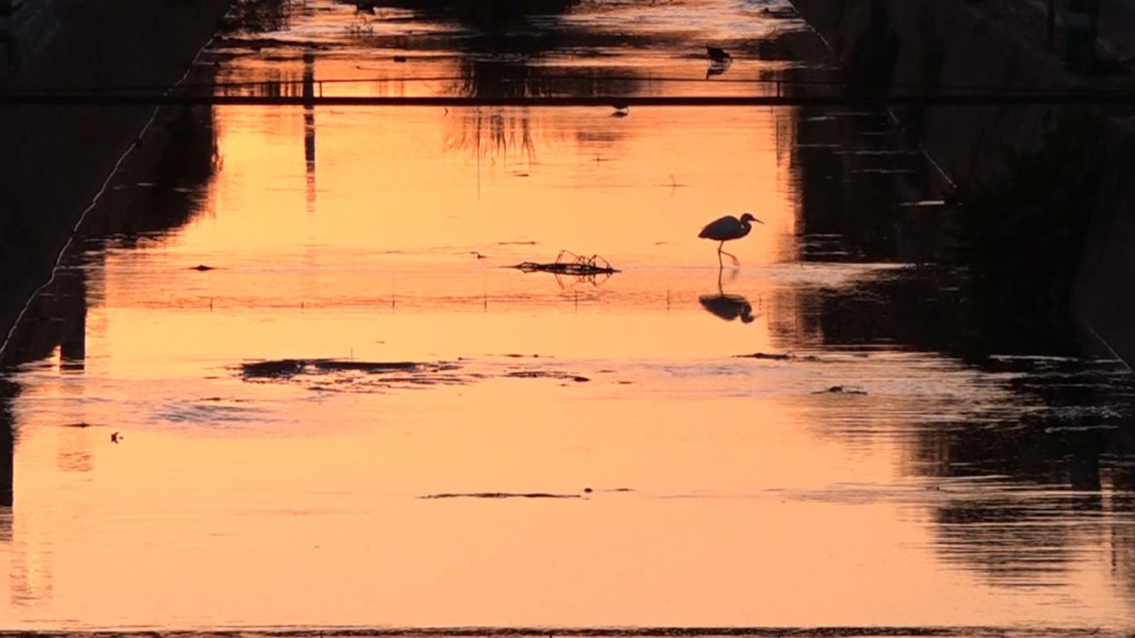 La gola de Nules, sense aigua, aquest matí