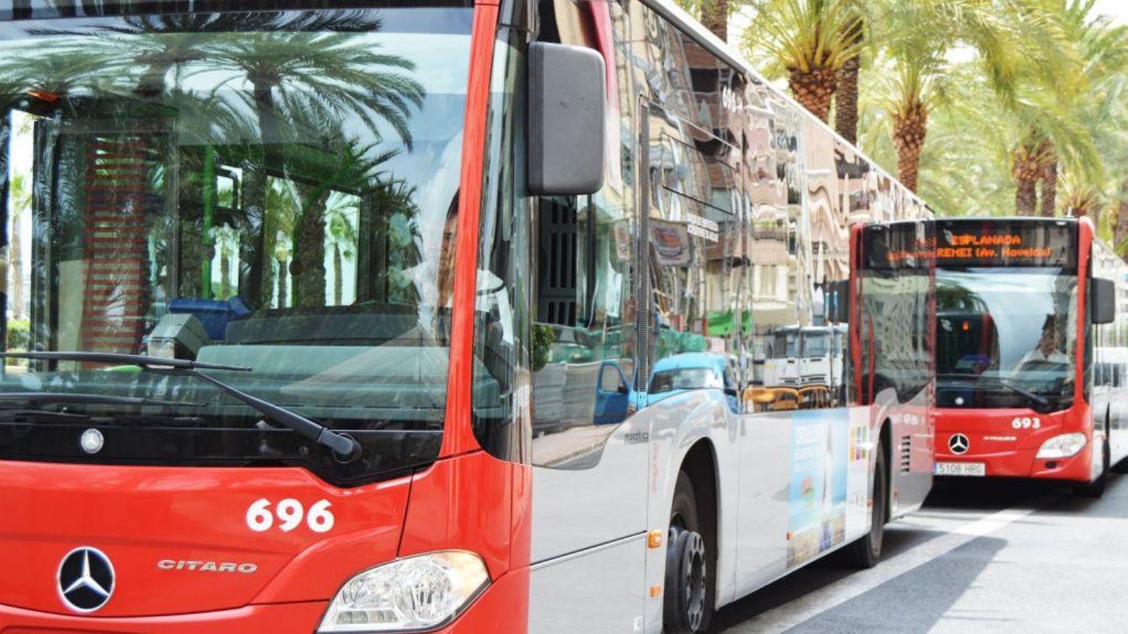 Autobusos nocturns d'Alacant