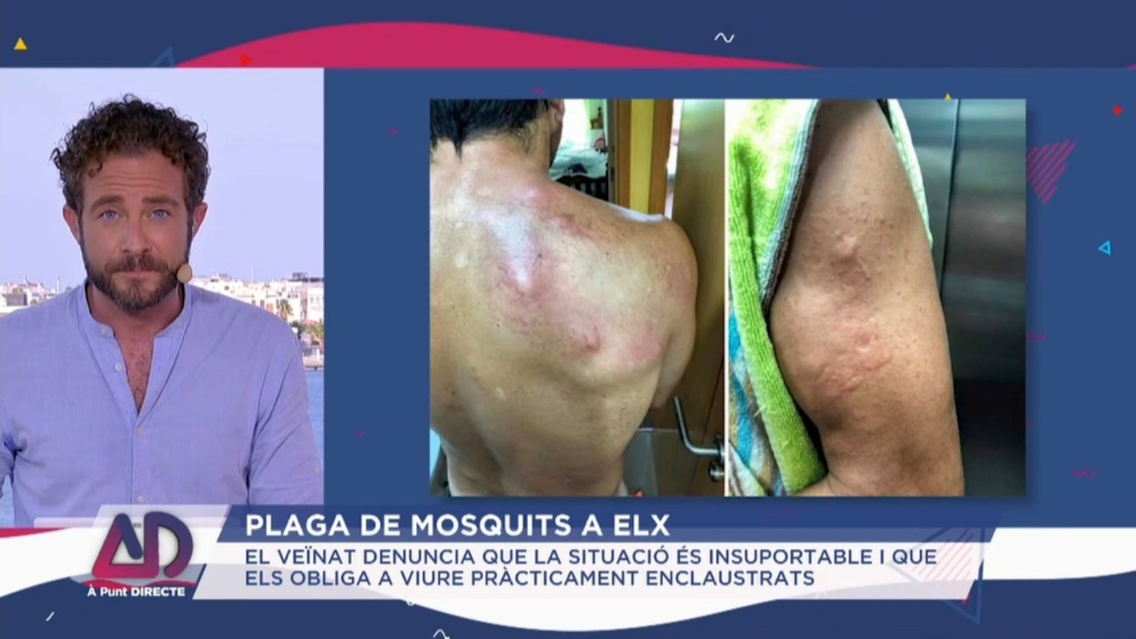 Plaga de mosquits a Elx