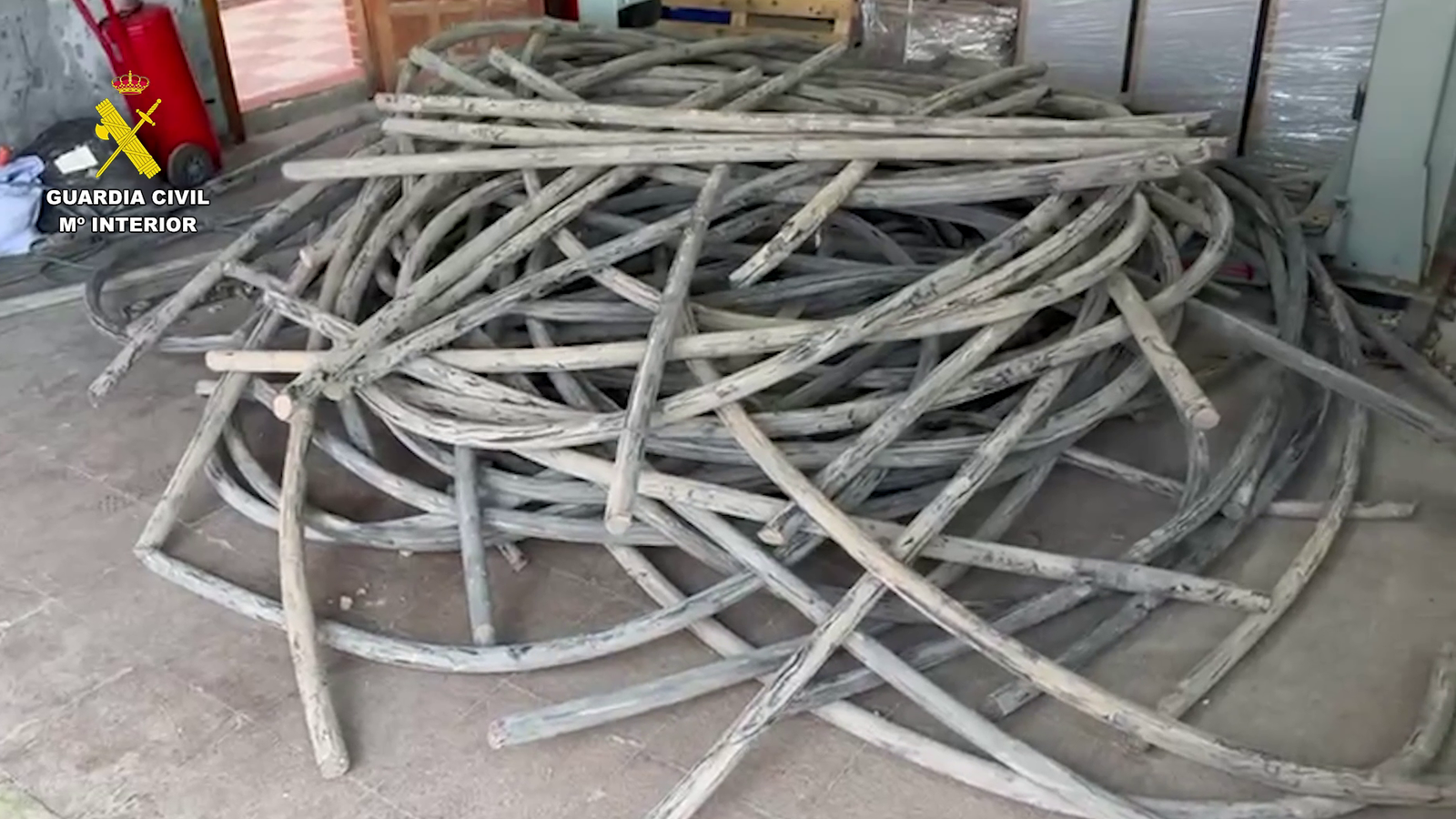 Van pillar els lladres qun sostreien cable de la xarxa de telefonia d'una empresa