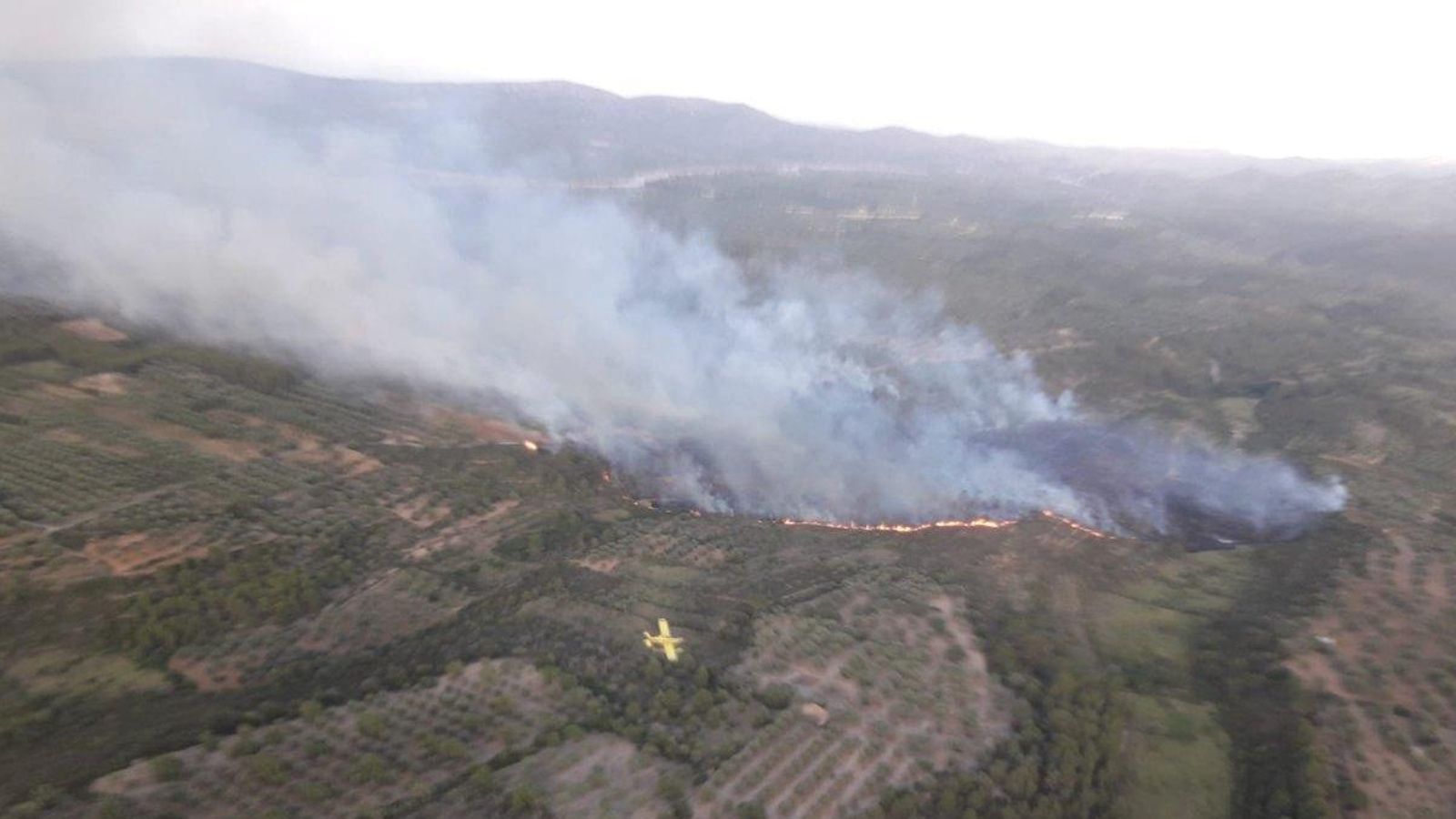 Imatge aèria de l'incendi durant els treballs d'extinció