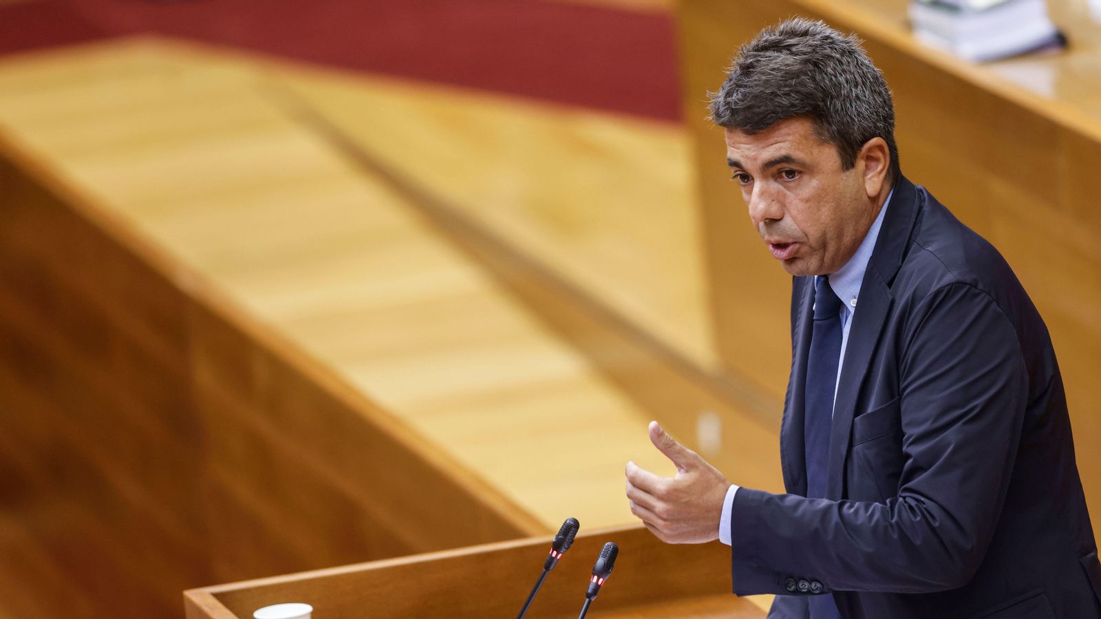 ROBER SOLSONA….20251002….VALENCIA….
MAZÓN EN LAS CORTES.