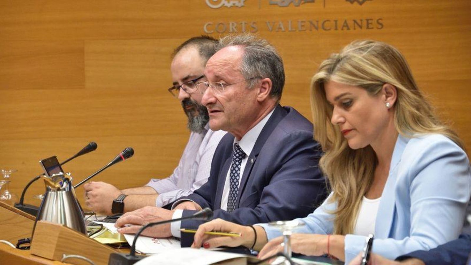El director de l'AVAF, Joan Llinares, en la comissió de les Corts