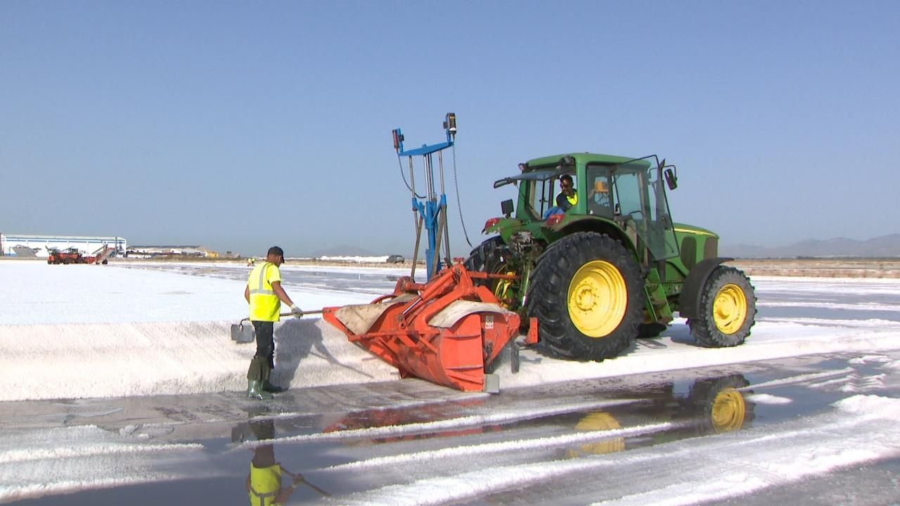 Comença la campanya de collita de la sal a les salines de Santa Pola