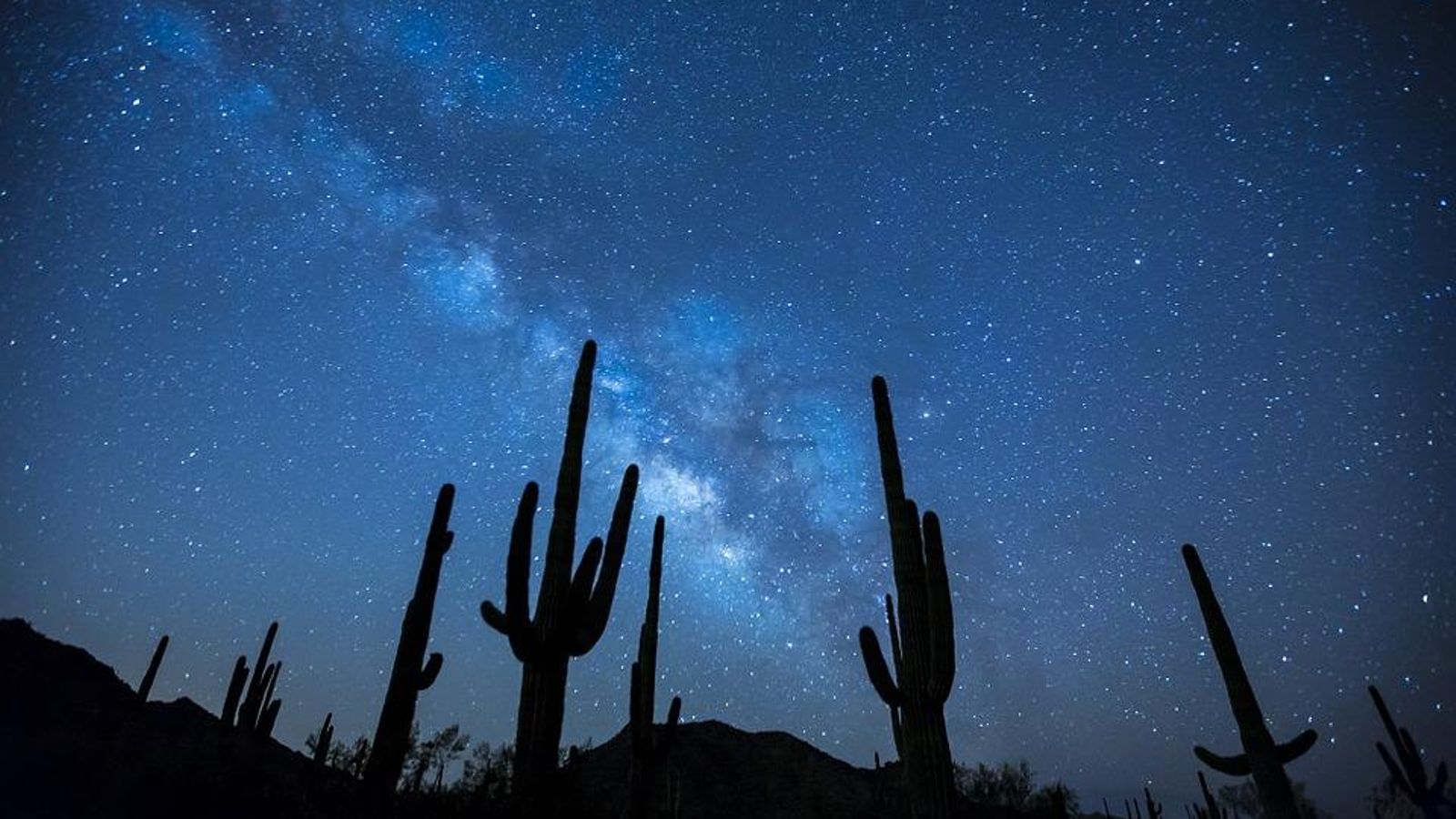 La Xina ha obert el primer centre de cultiu espacial del món a la província de Shaanxi