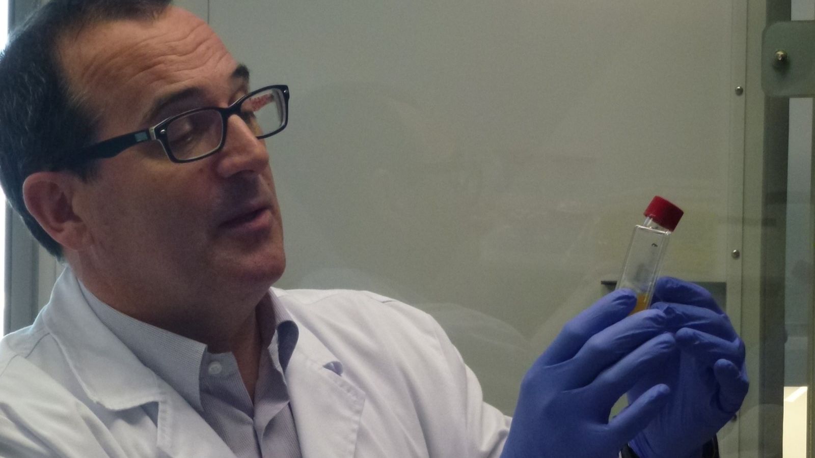 Els investigadors espanyols han fet aquesta troballa després d'investigar mostres de tres pacients infectats pel virus i tractats a Espanya