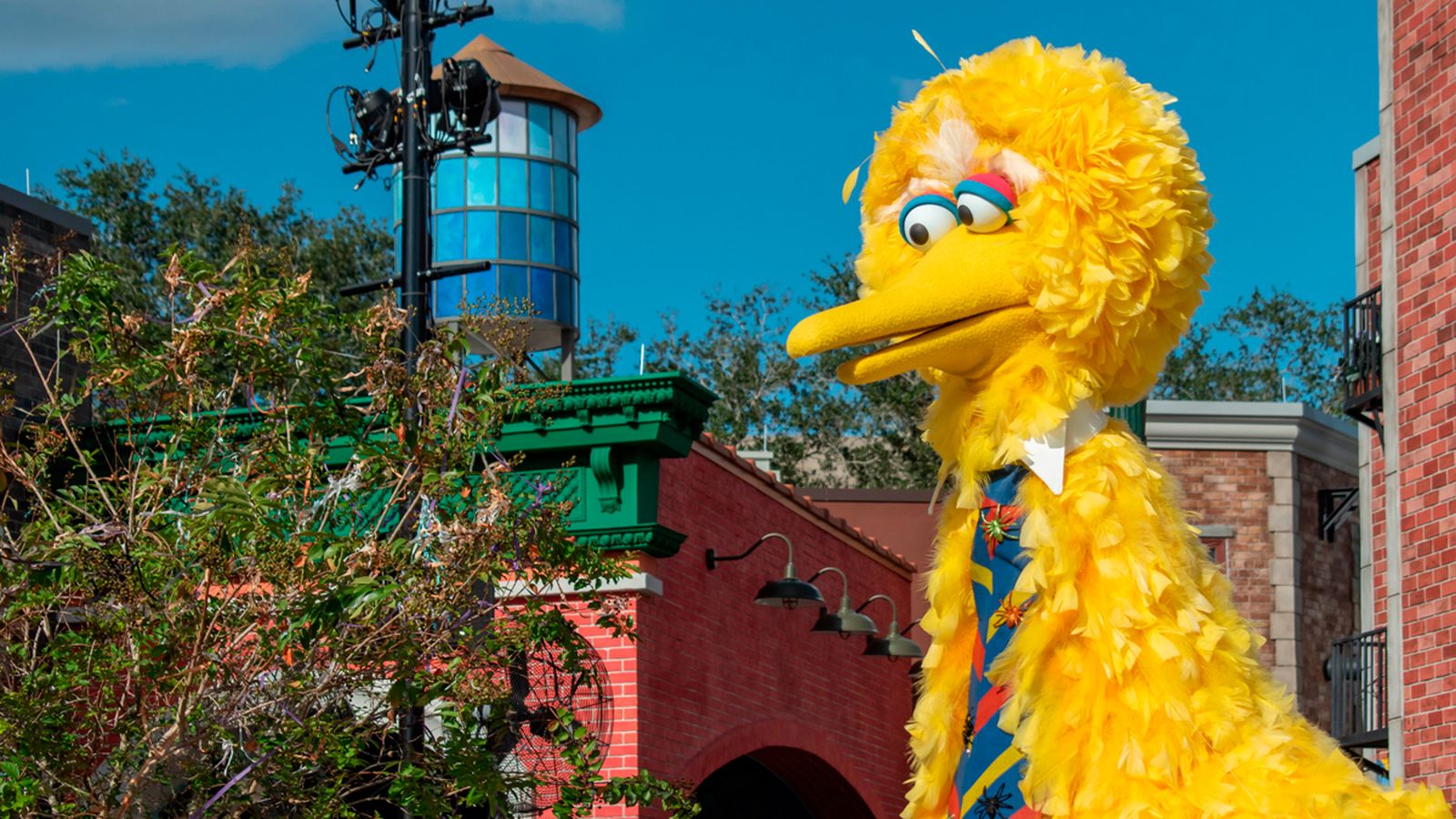 La Gallina Caponata en un parc d'atraccions a Orlando, Florida