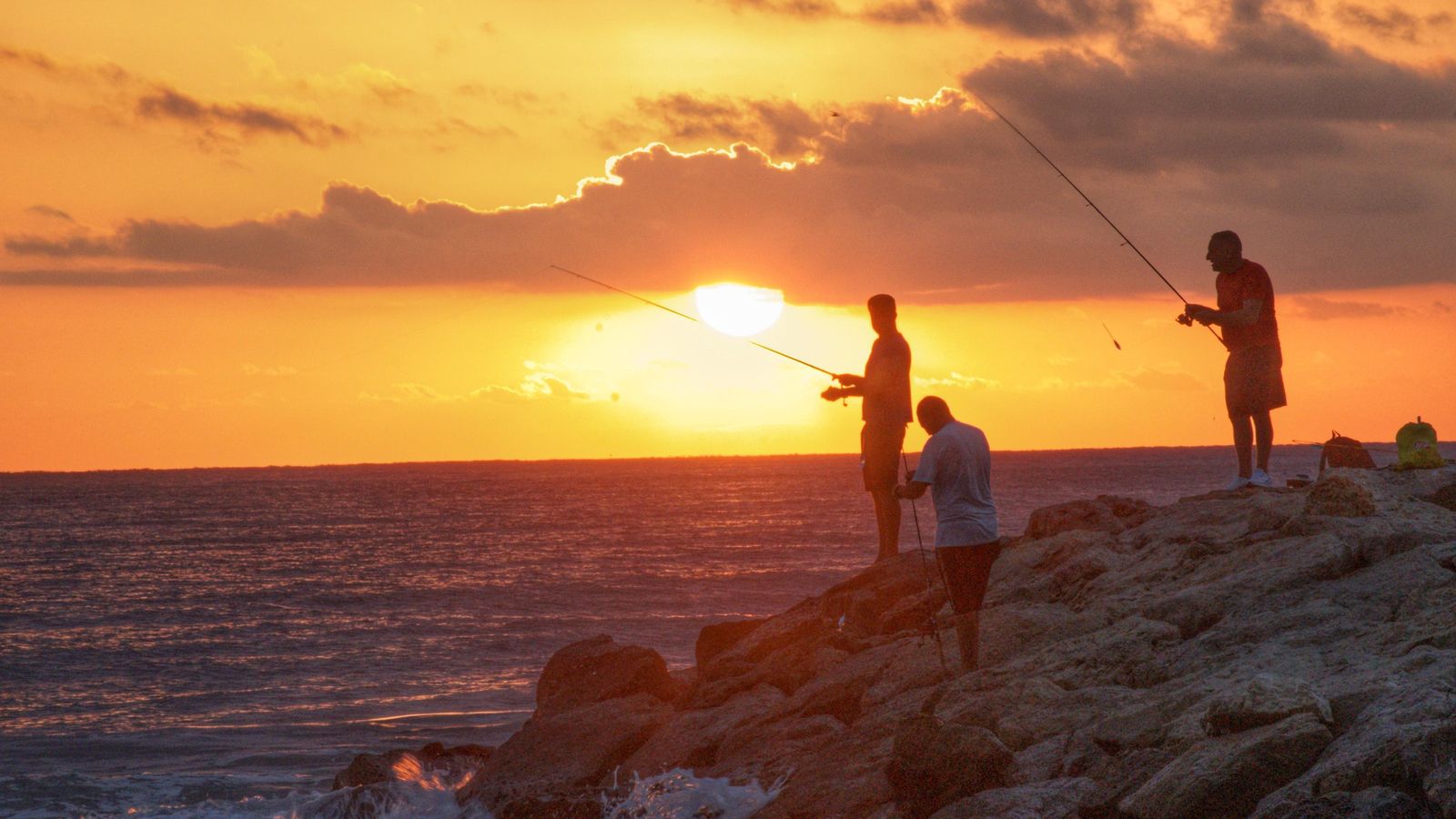 TAVERNES DE LA VALLDIGNA, LA SAFOR