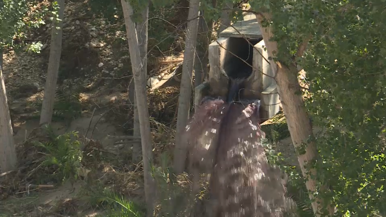 La Generalitat invertirà un milió d\'euros en el nou col·lector d\'Ontinyent