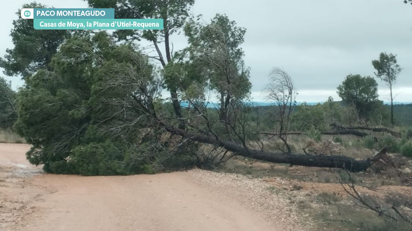 Avisos taronja per vent de ponent molt fort