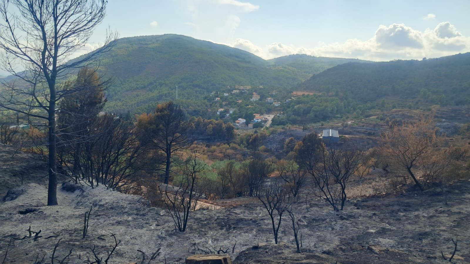 Vista de la zona afectada per l’incendi a la serra Calderona, amb arbres calcinats en primer terme i el paisatge de Gátova al fons.