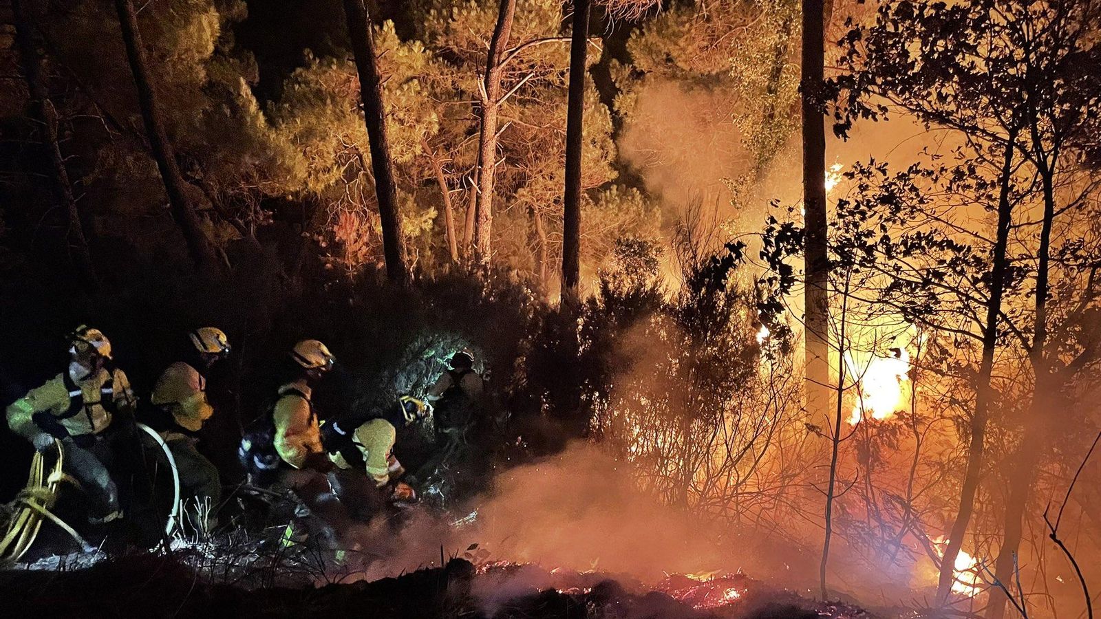 Treballs d'extinció de l'incendi declarat a Sierra Bermeja