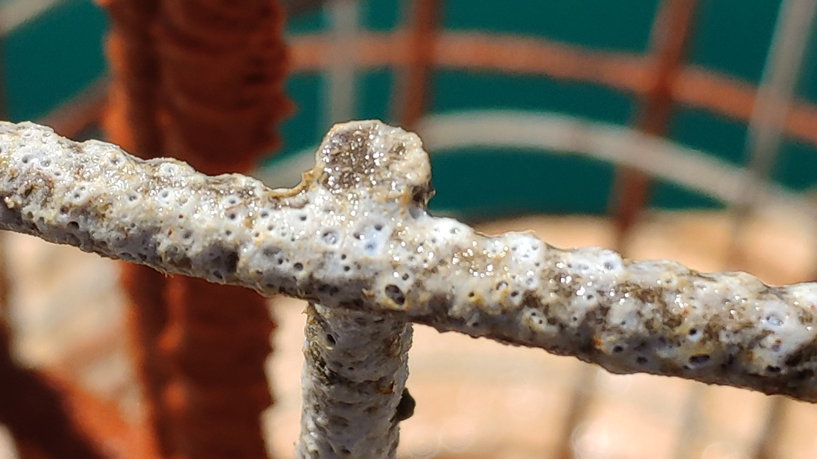 Un detall de l'escull artificial creat per investigadors de la UA