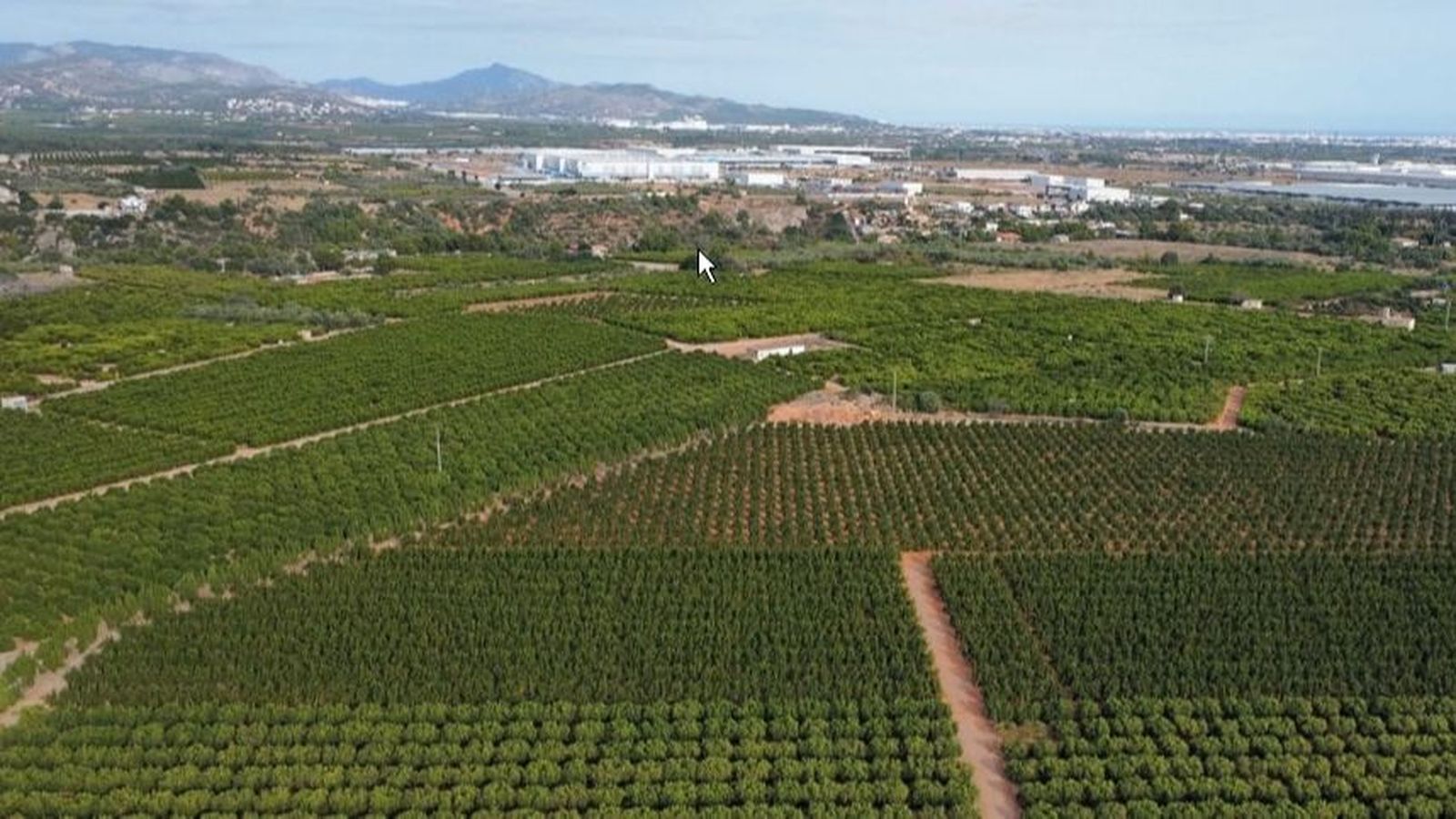 Terrenys afectats per la macroplanta