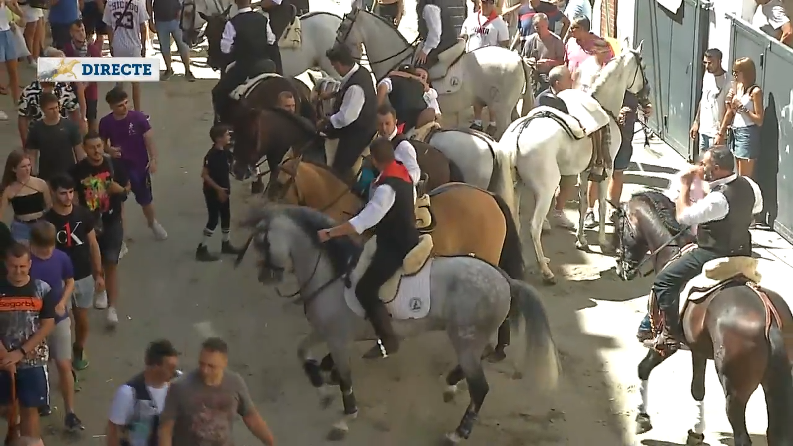 6.9.2022 | ENTRADA DE BOUS I CAVALLS DE SOGORB