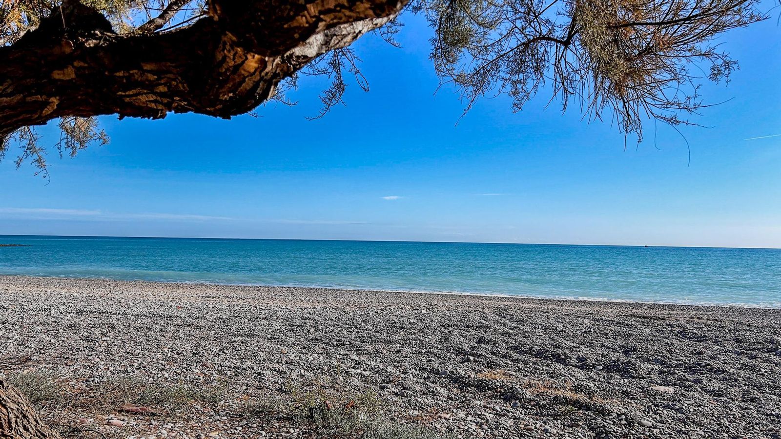 MONCOFA, LA PLANA BAIXA