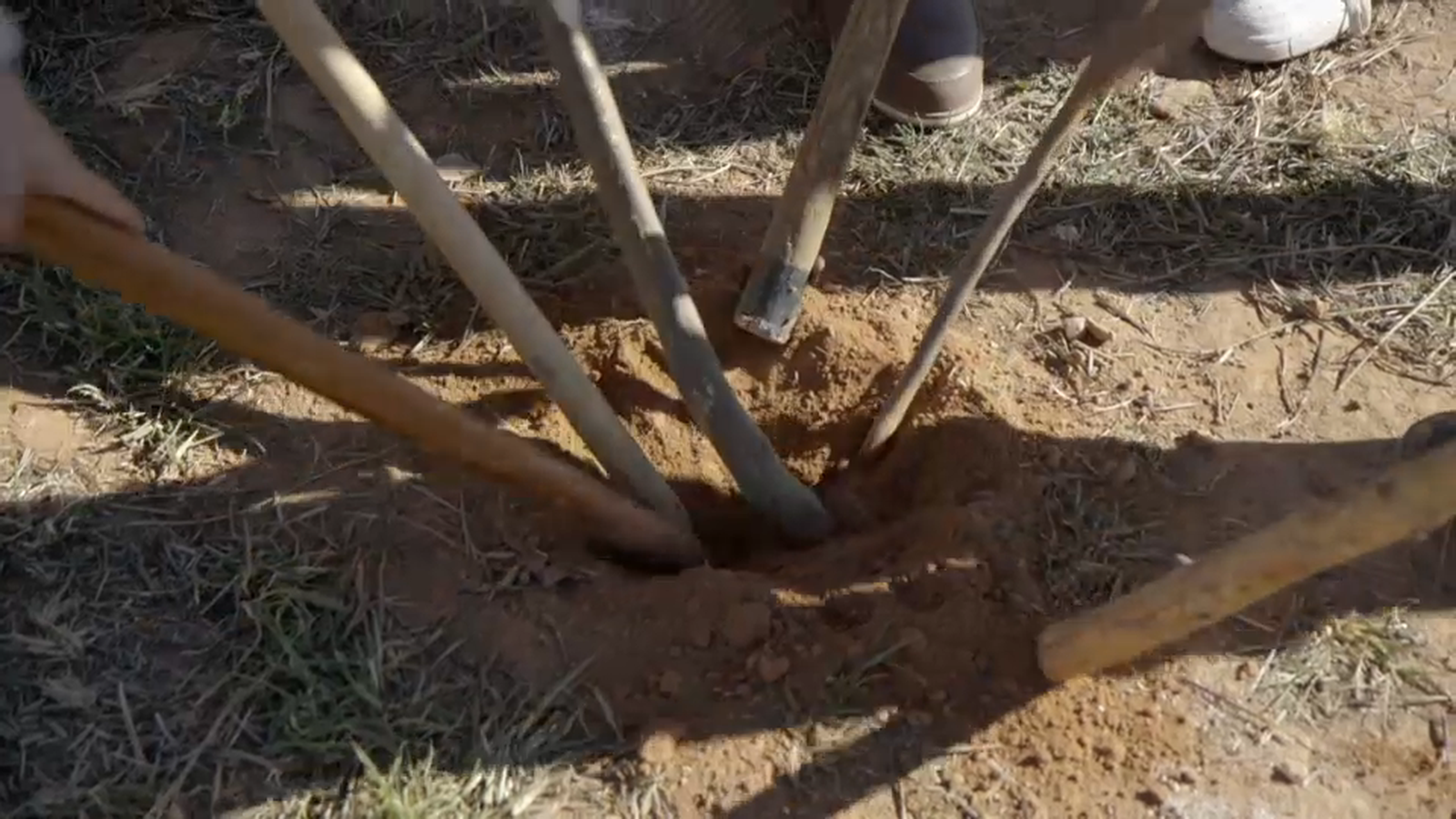Els jugadors piquen frenèticament mentre diuen "pica, pica, pica"