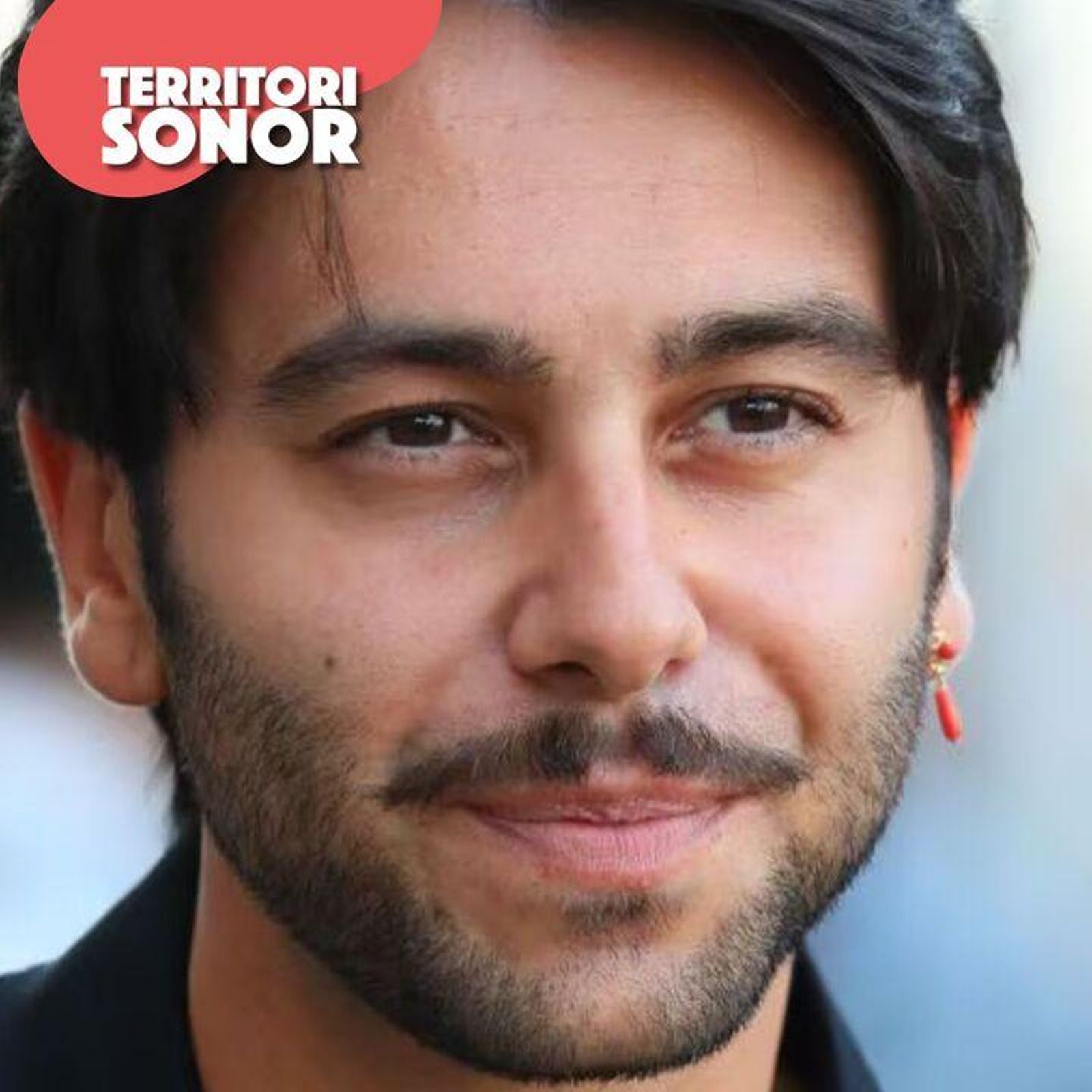 Territori sonor