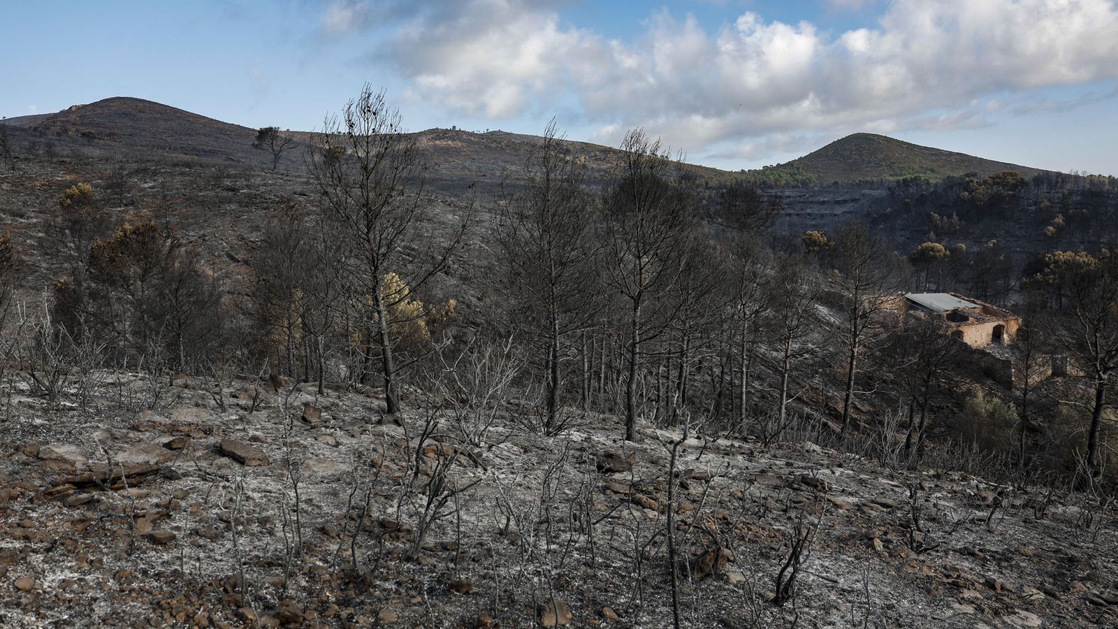 Terreny cremat per l'incendi declarat entre Segorbe i Gátova el passat dijous