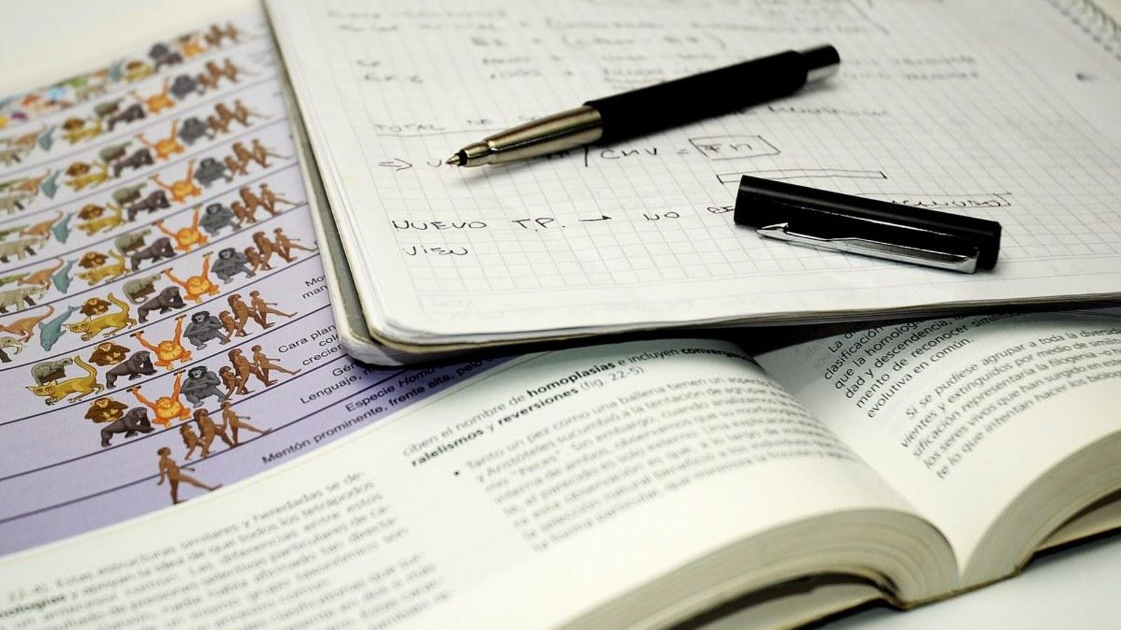 El dret de còpia, que només afectava els examens en reclamació, s'estendrà a tots els exercicis