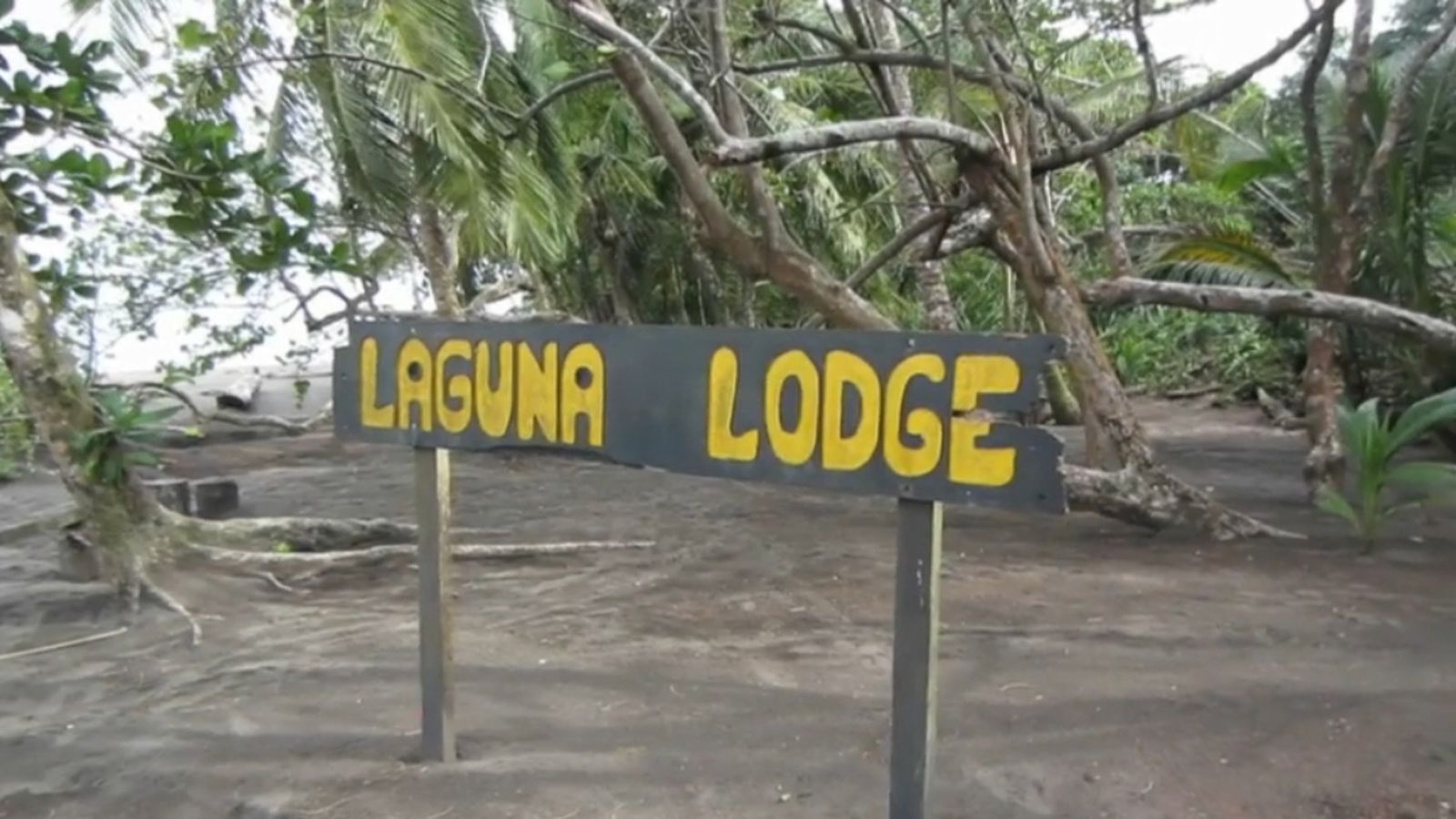 L'Organisme d'Investigació Judicial esperar els resultats de les proves d'ADN