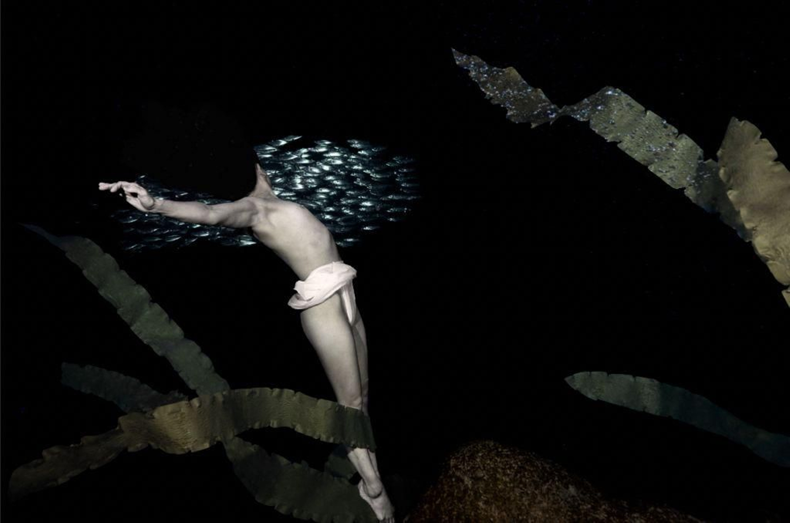 Una de les fotografies que integren l'exposició d'Alacant i on l'apneista Ai Futaki es fundeix amb un banc de peixos per a formar una única forma