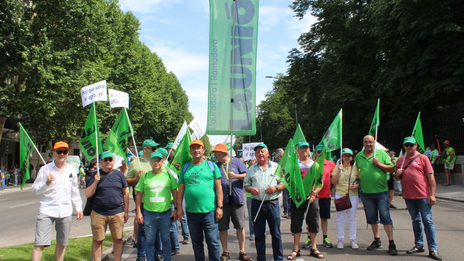 Un agricultor collint mandarines