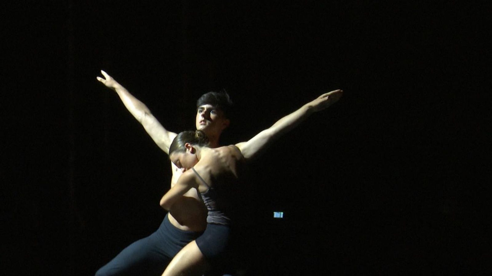 Dansa FIB