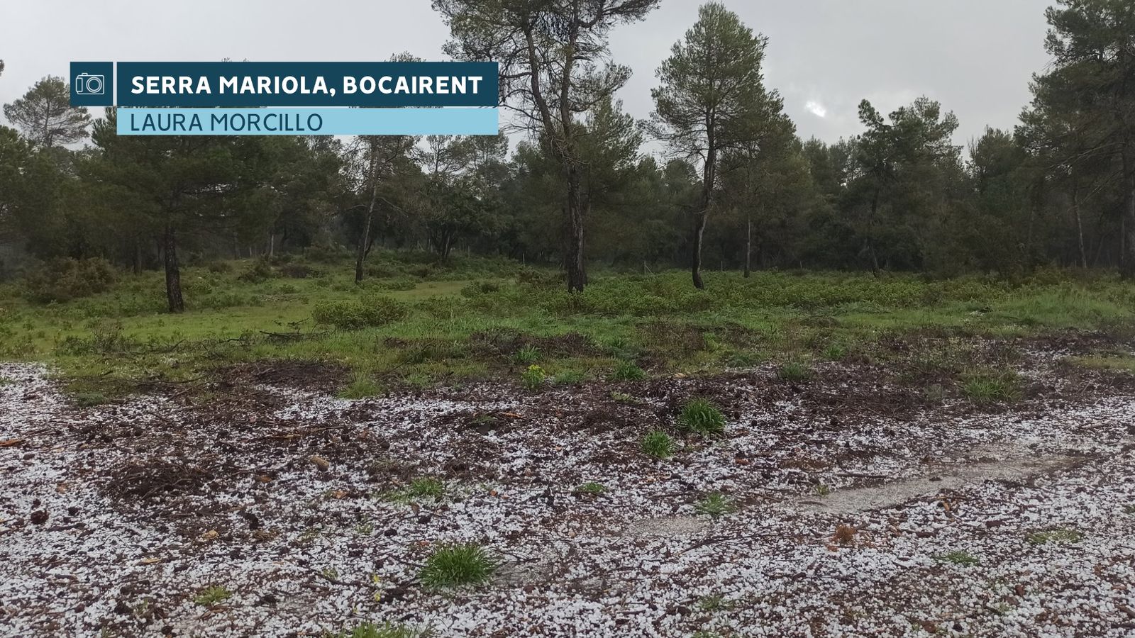 Granís a la Serra Mariola este migdia