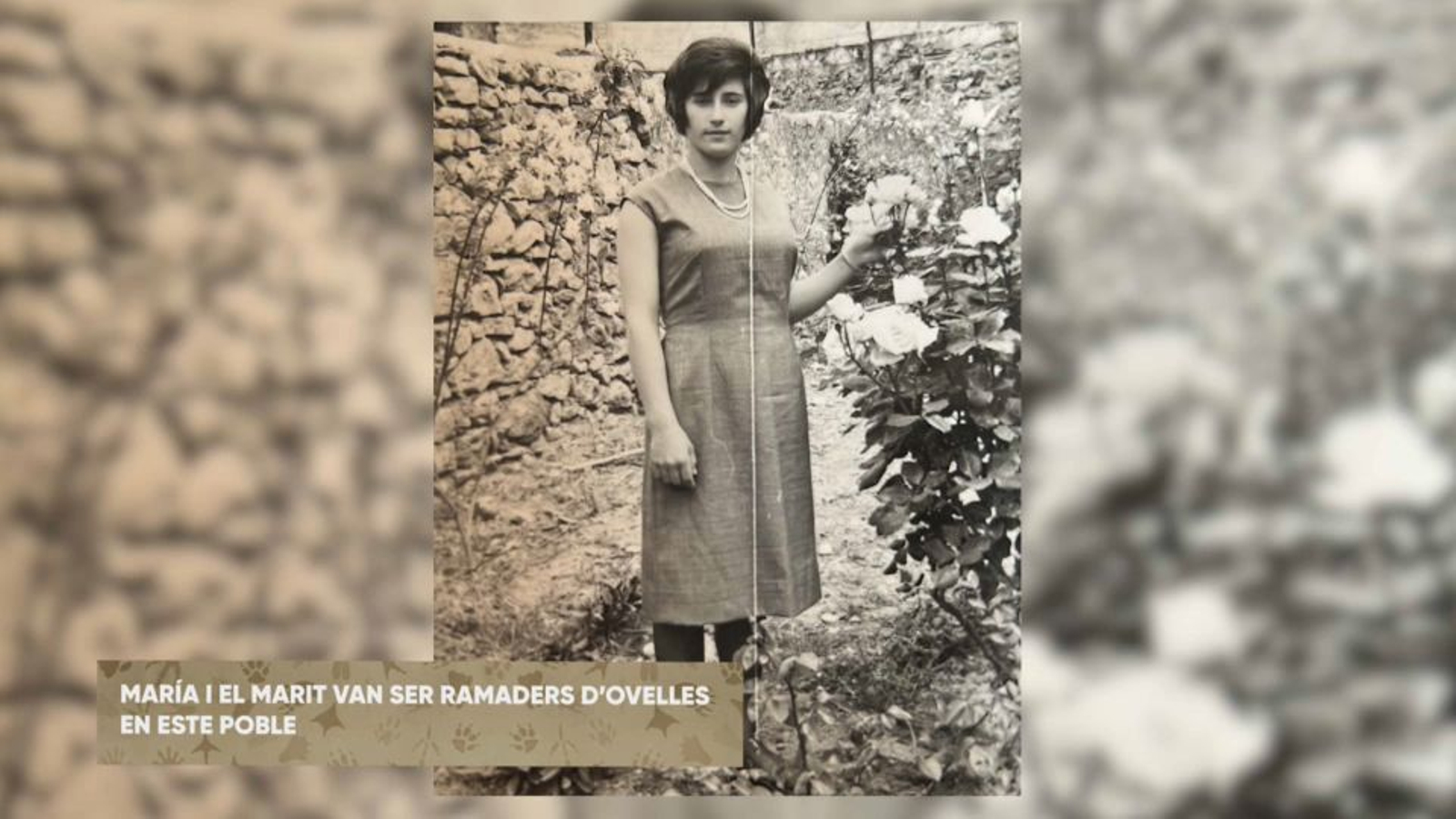 Maria Campos, l'àvia de Ferrán quan era jove