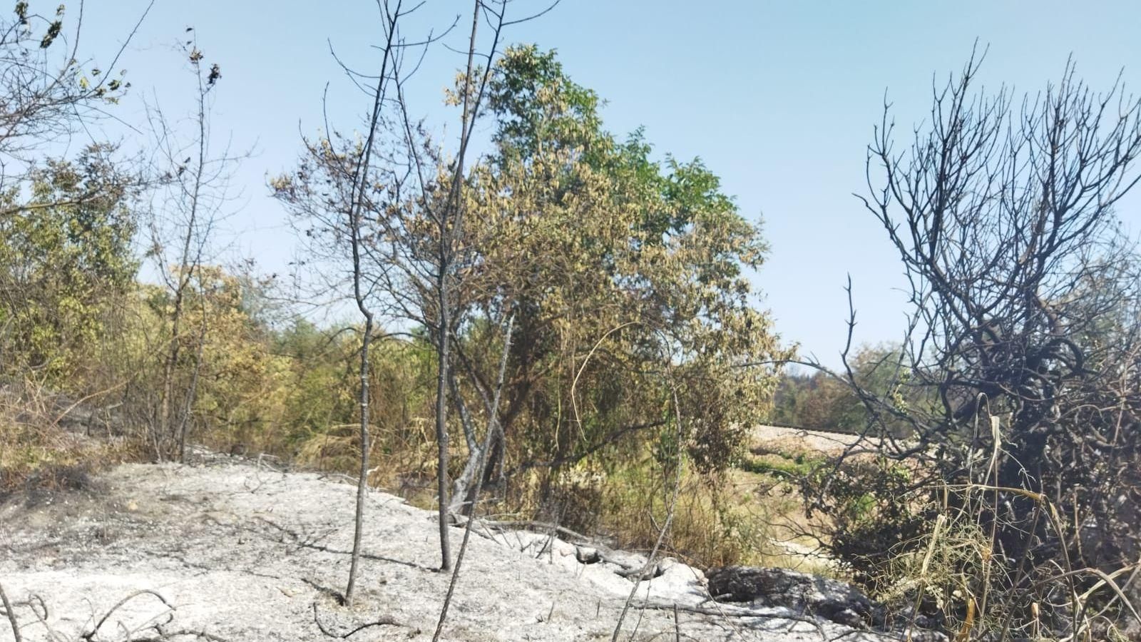 Efectius treballant aquesta nit per controlar l'incendi