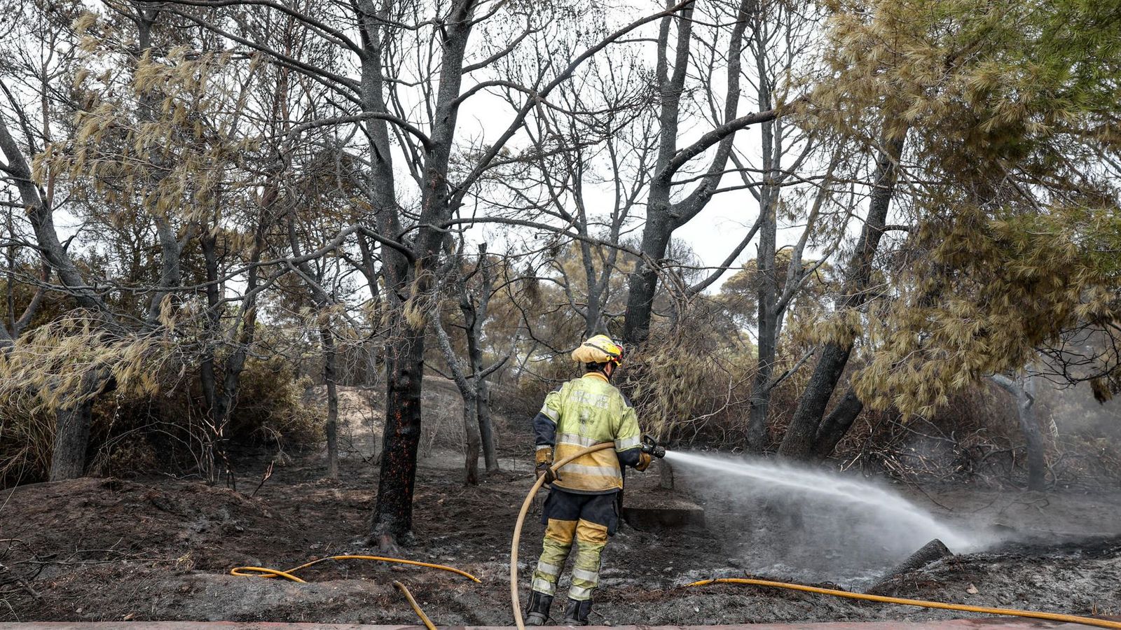 Un bomber refresca la pinada cremada en el Saler