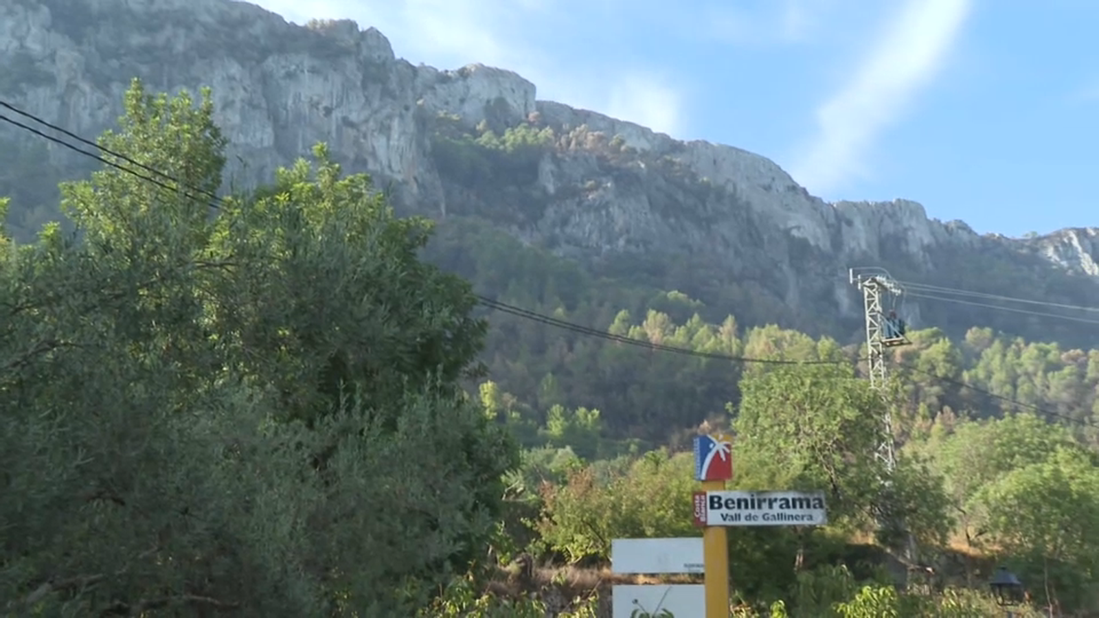 Imatge de la massa boscosa que queda a Benirrama després de l'incendi