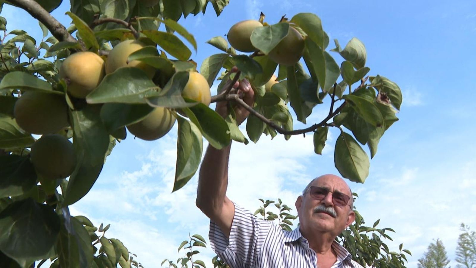 Els agricultors denuncien que el rebut de la llum per al motor de regar s'ha disparat