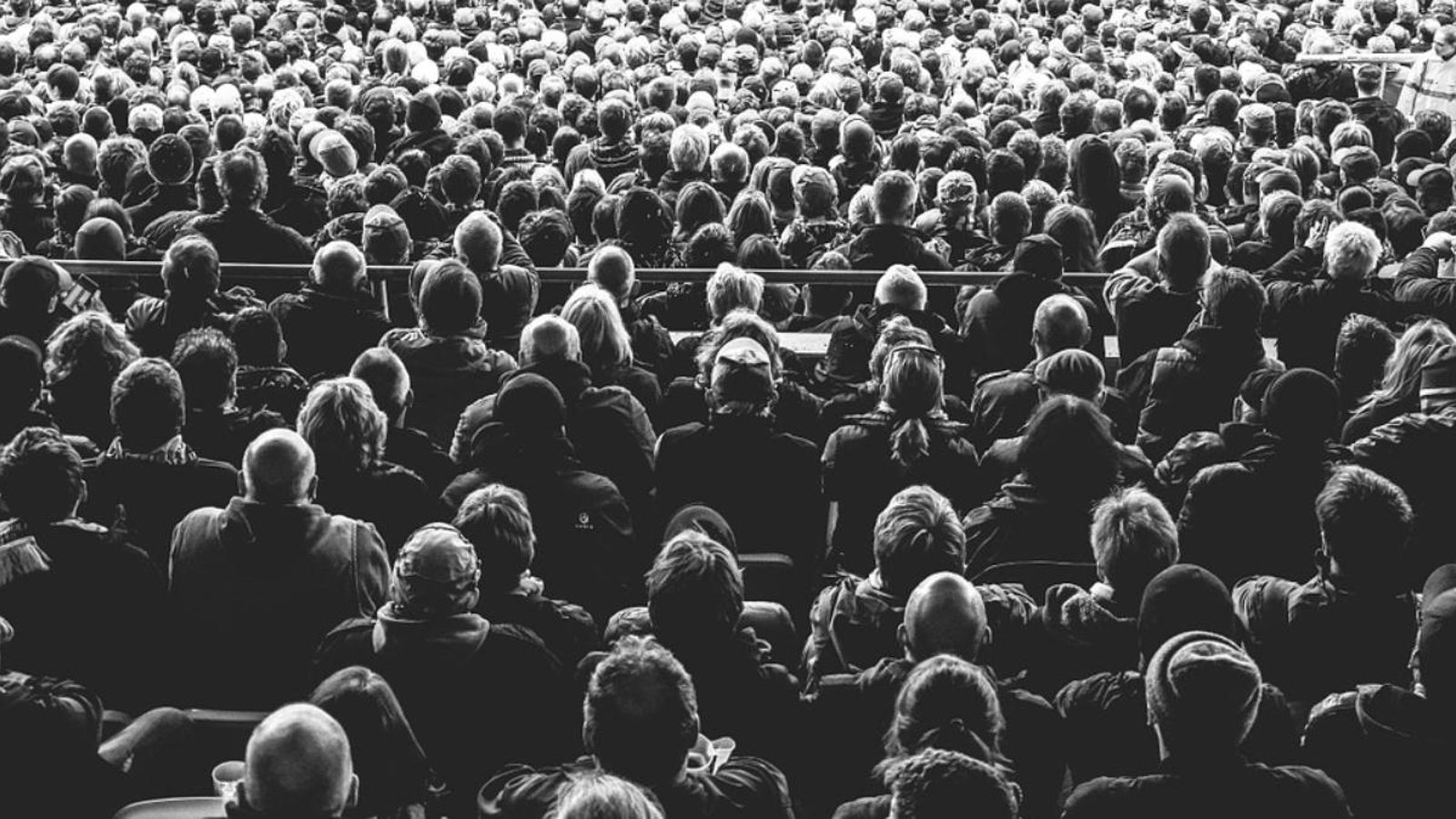 Cinema al carrer a l\'estiu