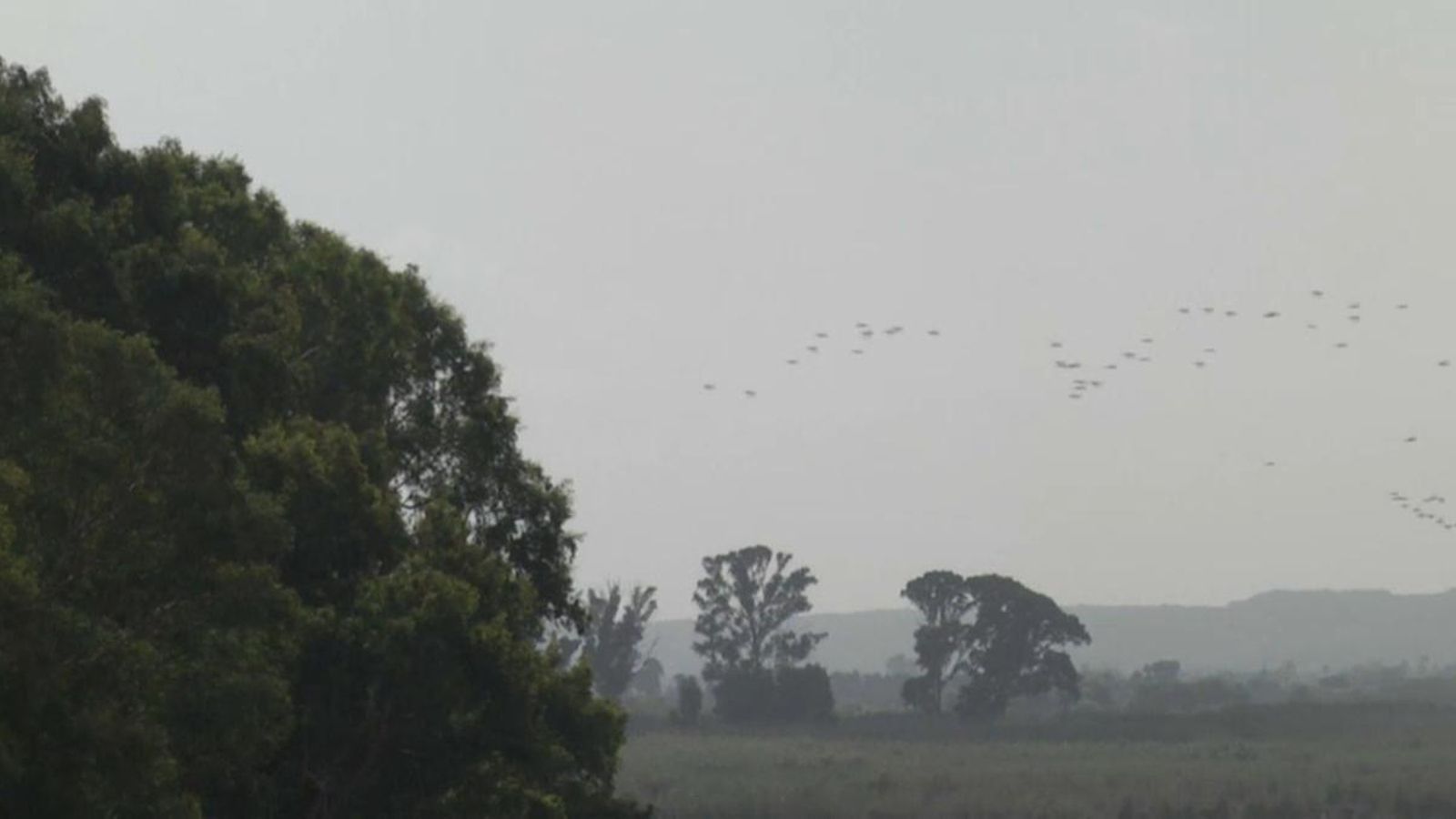 Els diners de la indemnització es destinaran a la construcció d’una dessalinitzadora