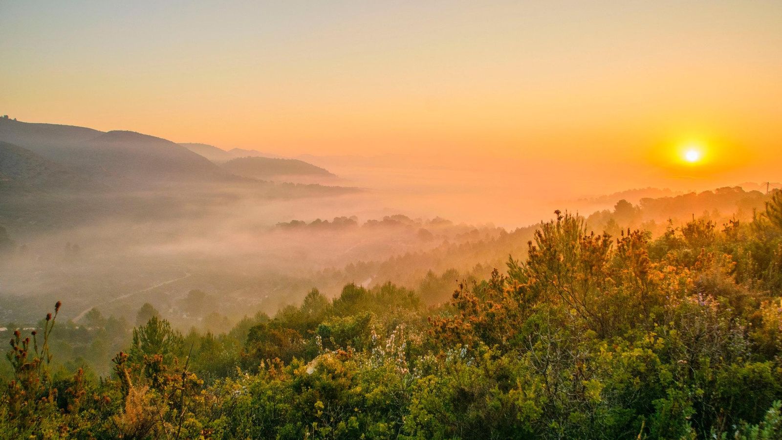 L'OLLERIA, LA VALL D'ALBAIDA