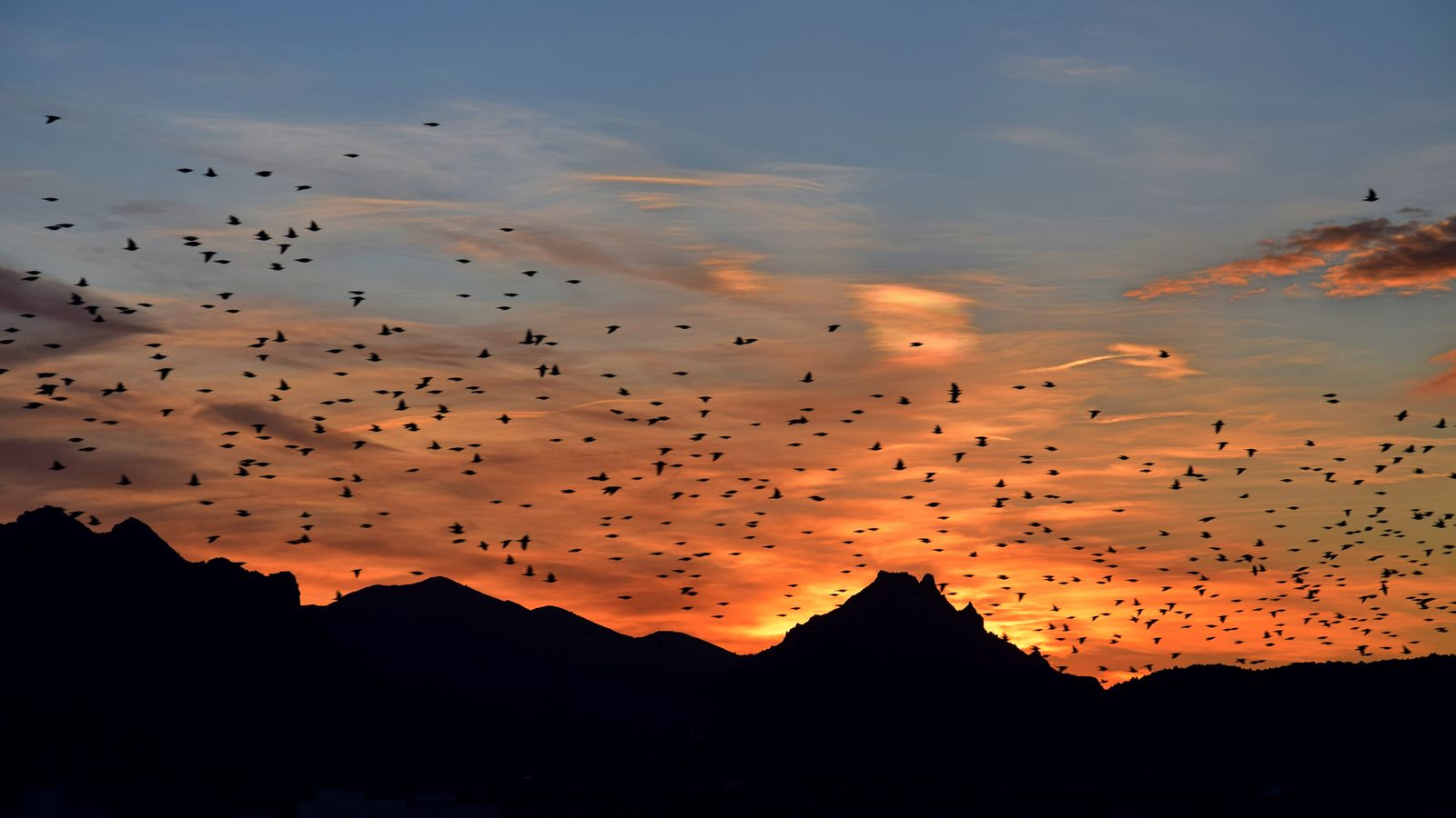 La Serra de les Agulles, Alzira