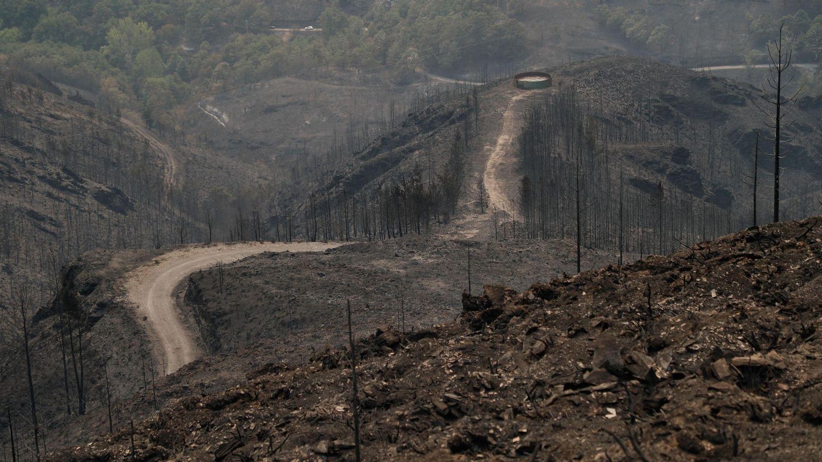 Una pista forestal travesa la reserva natural de Courel-Ancares, entre Lleó i Galícia, on les flames han canviat el paisatge