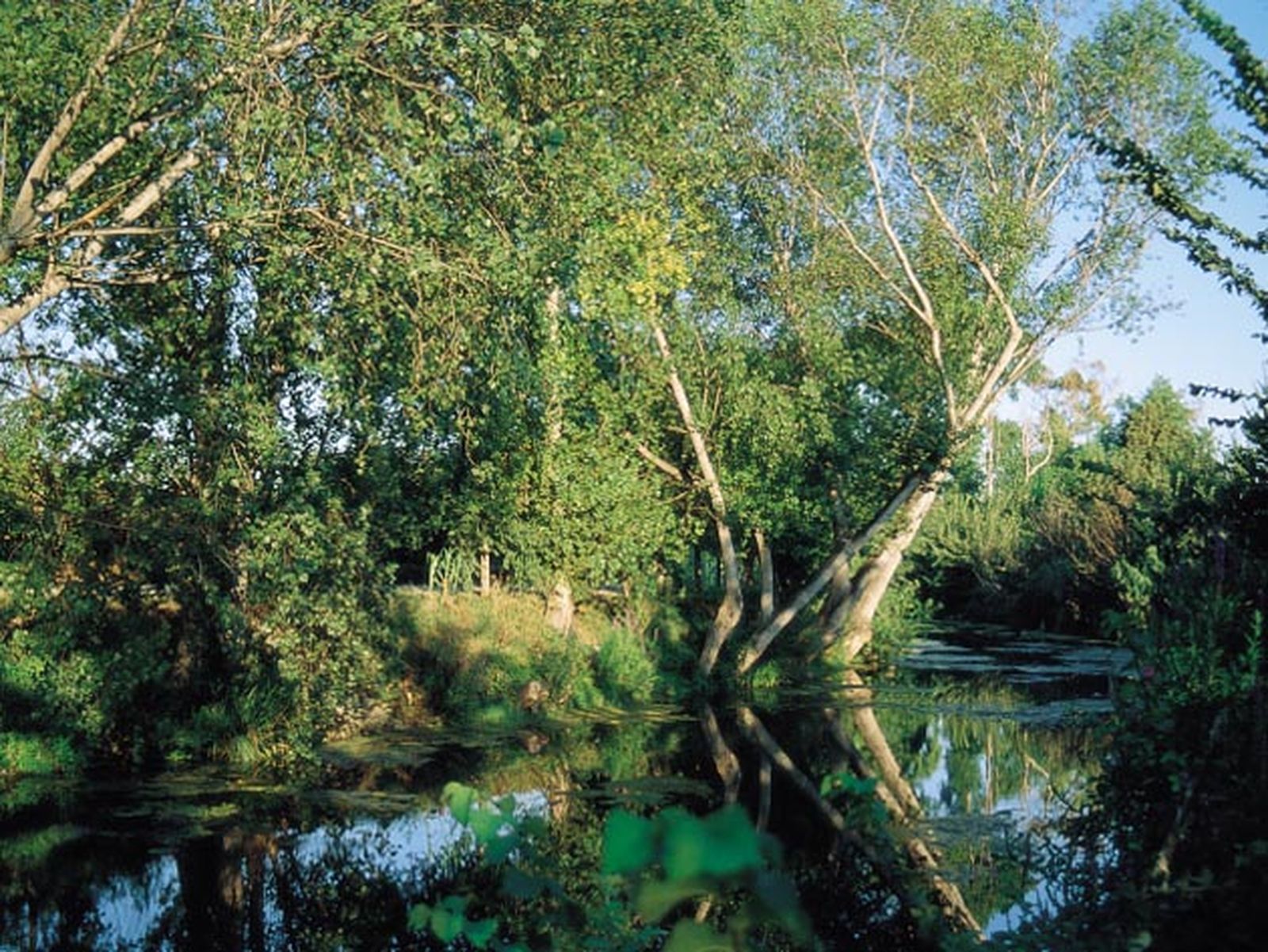 Imatge d'arxiu del Clot de la Mare de Deu, a Borriana