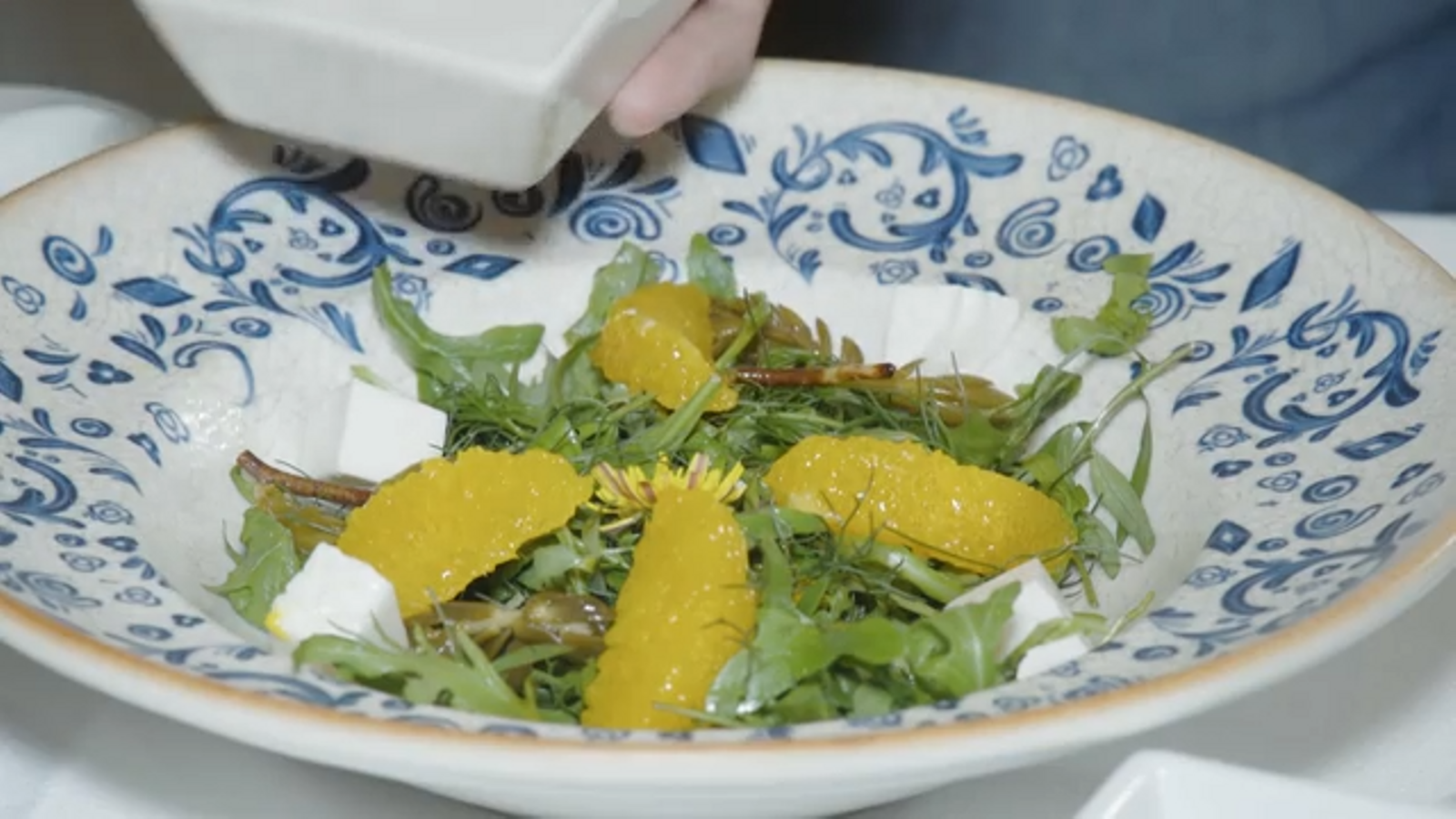 08.08.2023 | Terra Viva