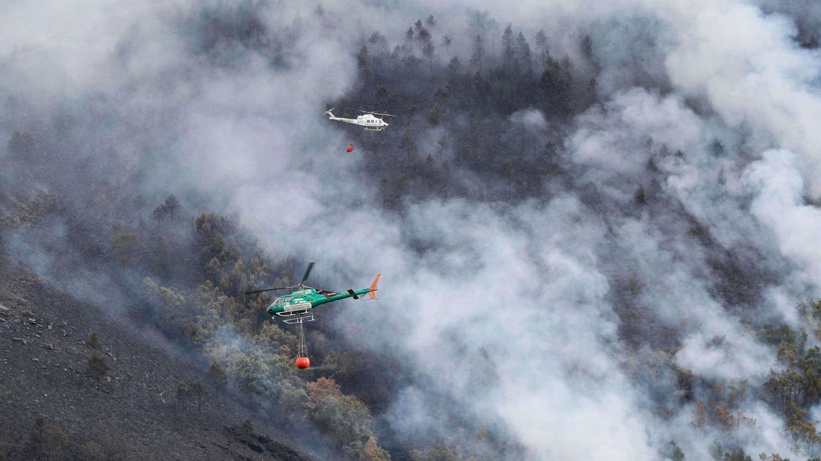 Diversos mitjans aeris intenten rebaixar les flames al terme de Larouco, Ourense, considerat l'incendi més gran a Galícia des que hi ha registres