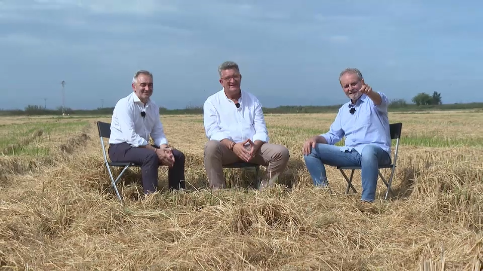 Comença la crema de la palla de l'arròs