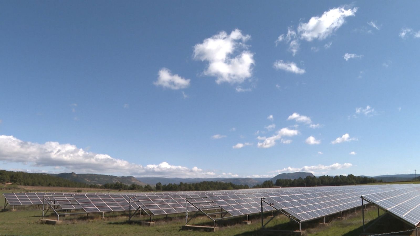 Elx celebra la decisió del consistori de paralitzar la concessió de llicències a plantes fotovoltaiques