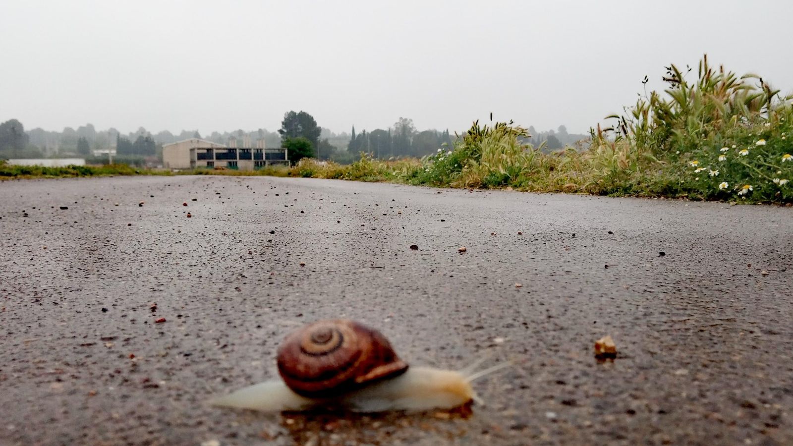 4 MIGUEL CAUSERA, Xella, la Canal de Navarrés
