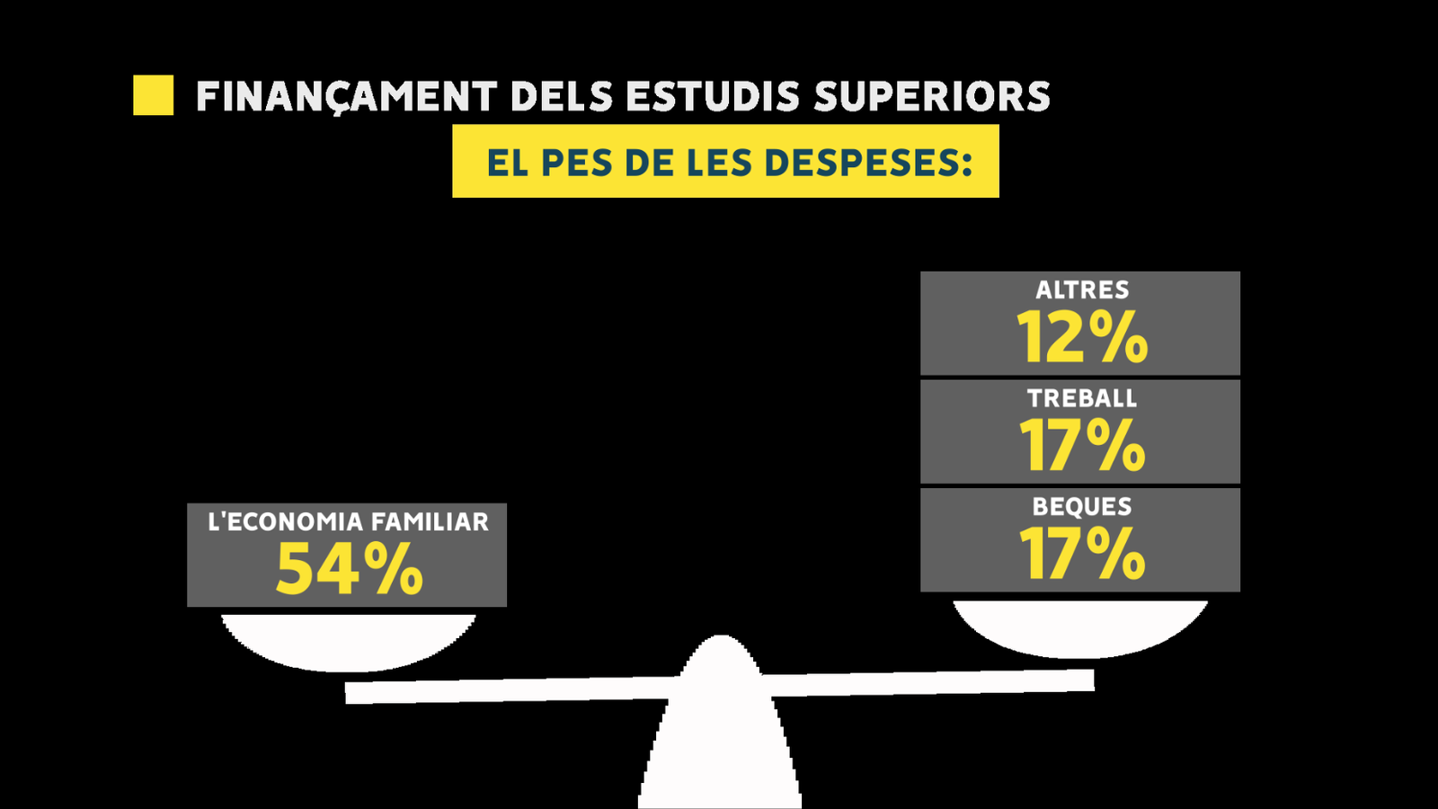 Finançament dels estudis superiors