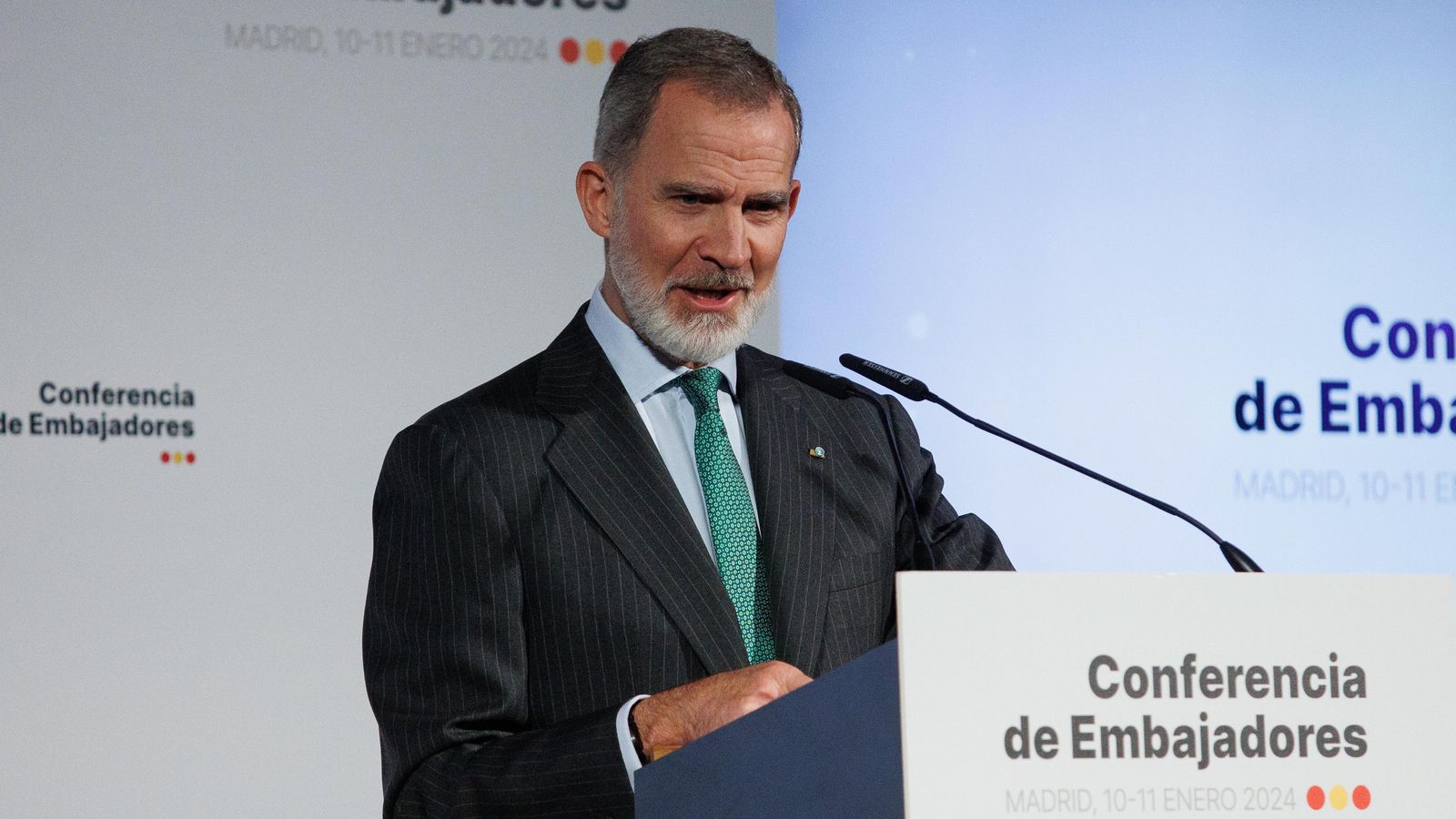 El rei Felip VI, en una imatge d'arxiu