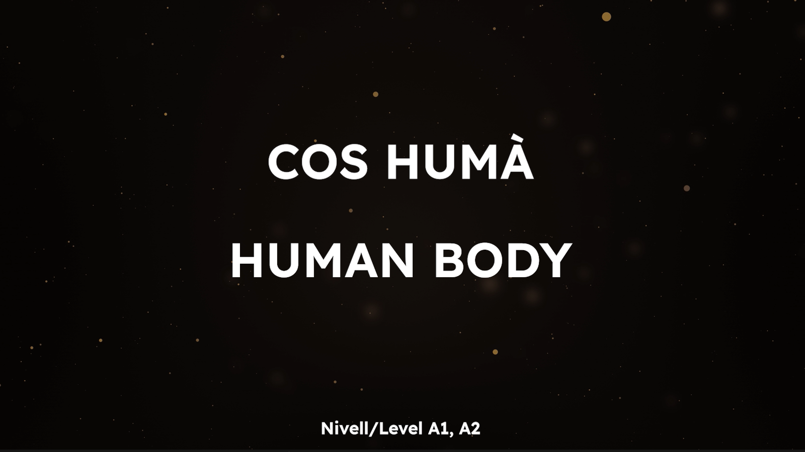 Memory Mots - human body (A)
